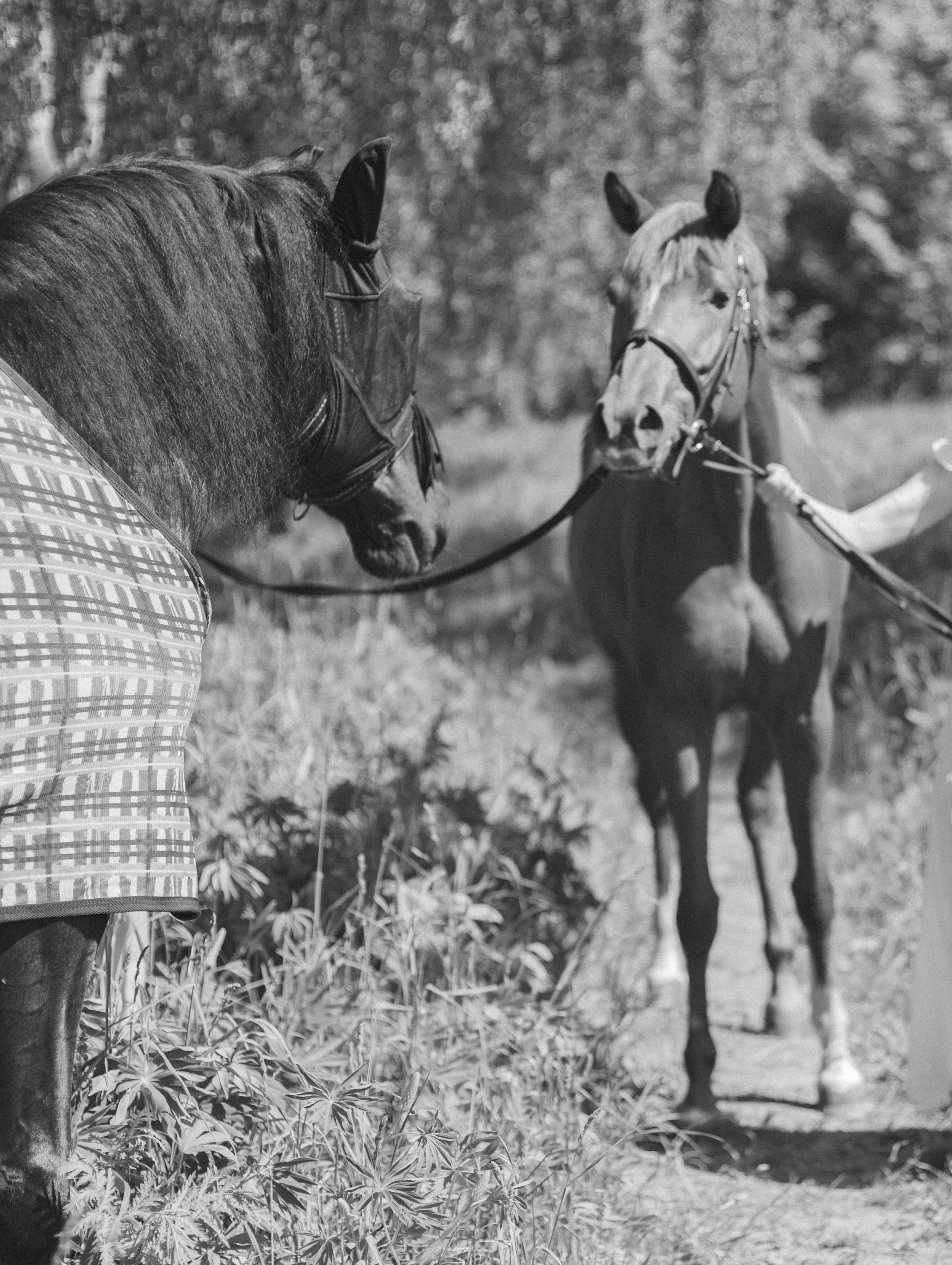 Таня и Фаня. Фотограф Евгения Счастливая, Нижний Новгород, Москва