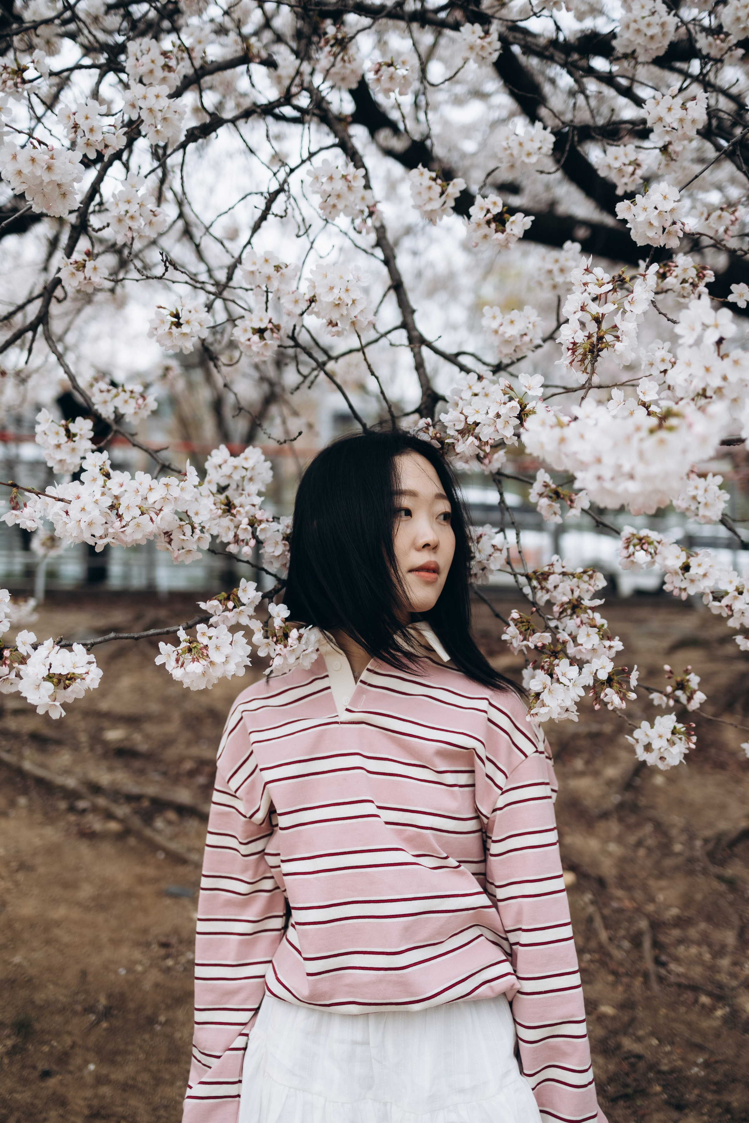 Диша🌸. Фотограф Артем Бросов в Санкт-Петербурге и Дубае