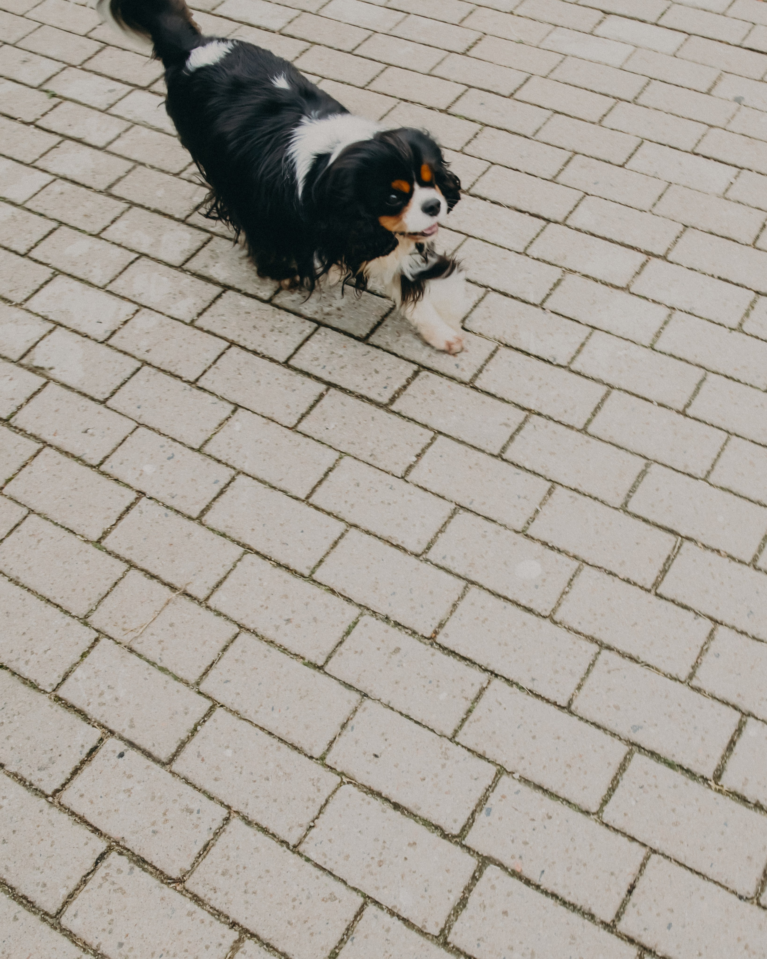 Гилдин. Портретный фотограф Ванинен Анастасия. Санкт-Петербург
