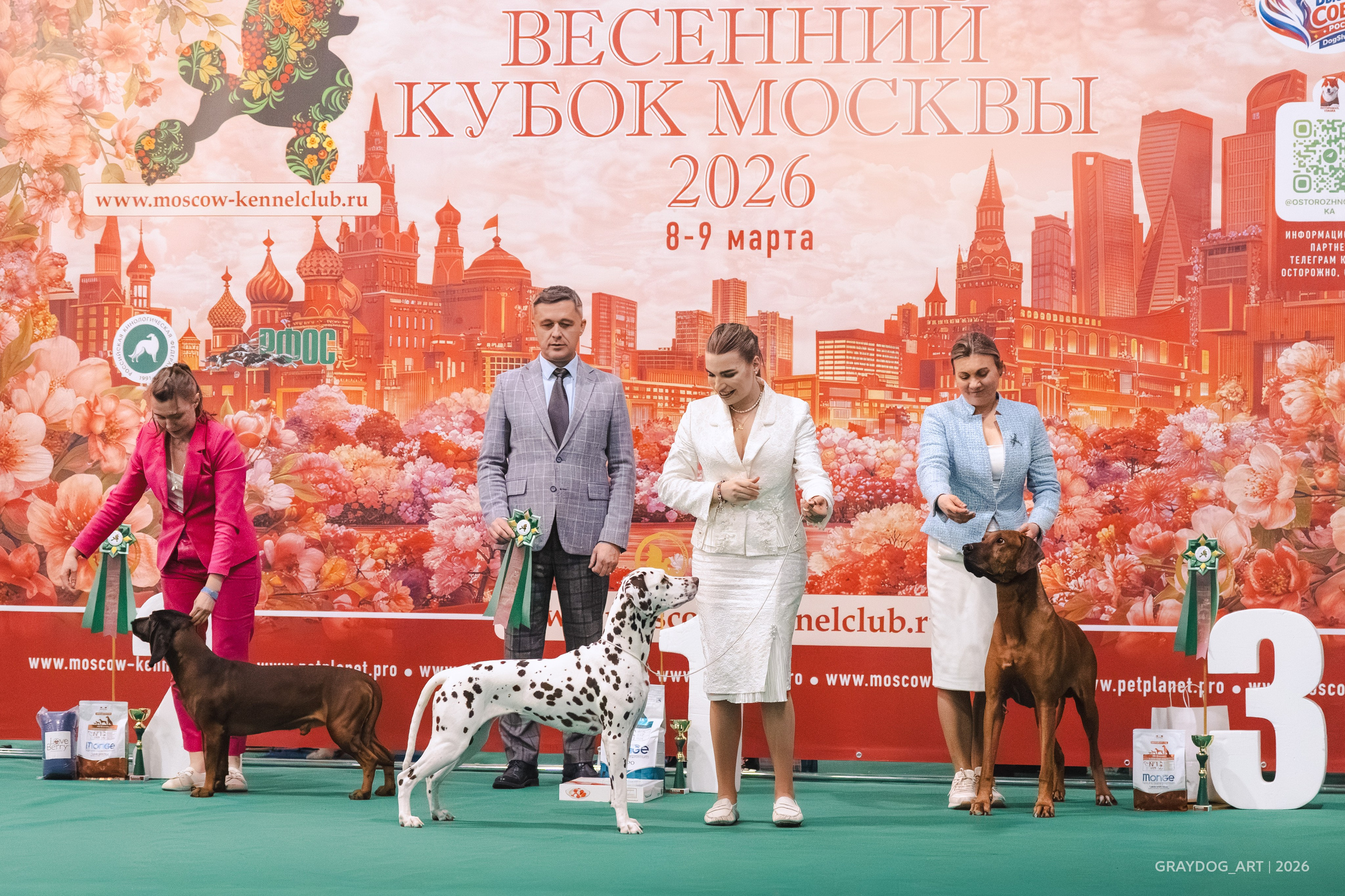 Выставки. Фотограф-анималист Александра Мешкова | Москва