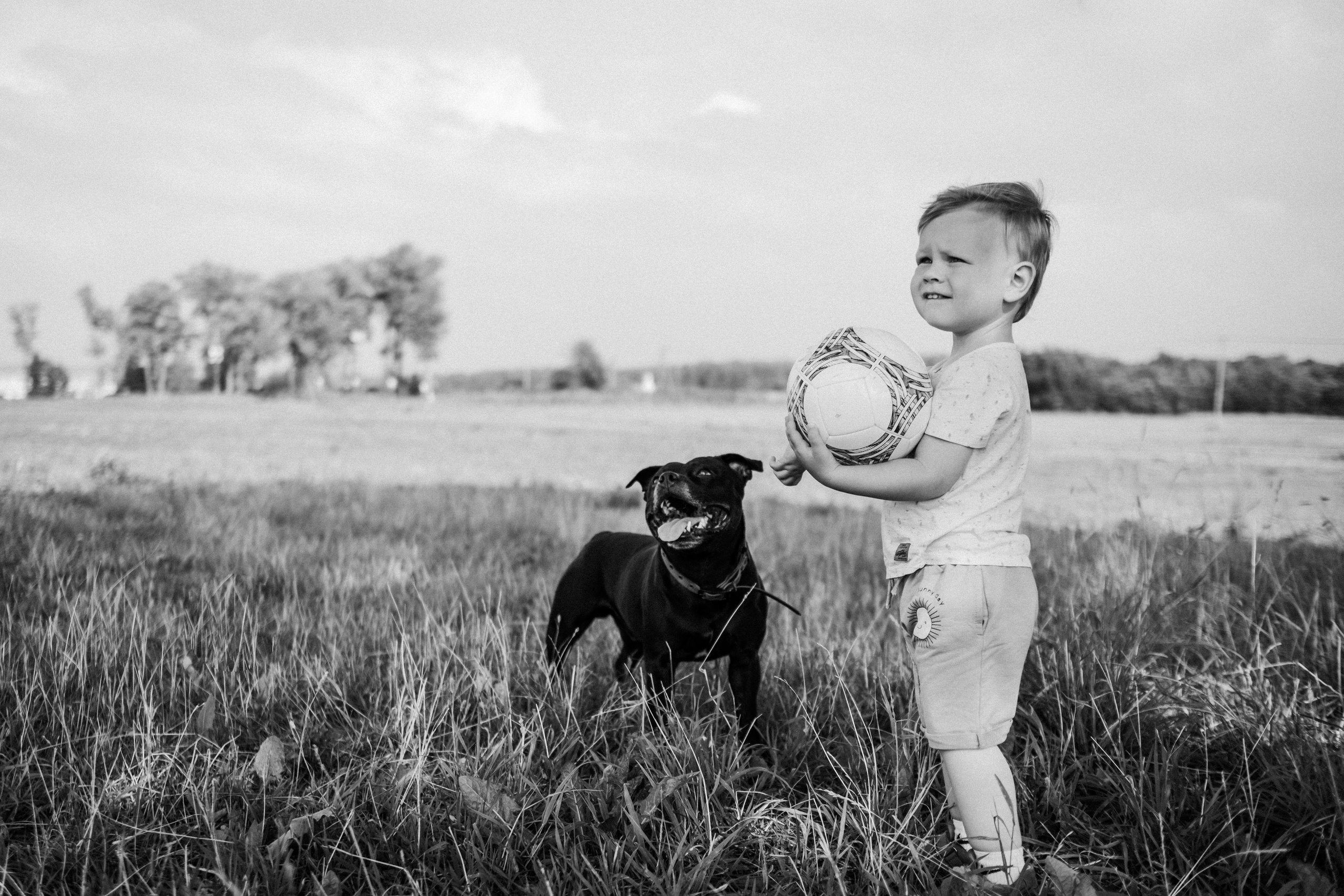 Прогулка в поле. Семейный фотограф в Санкт-Петербурге Дарья Косянчук
