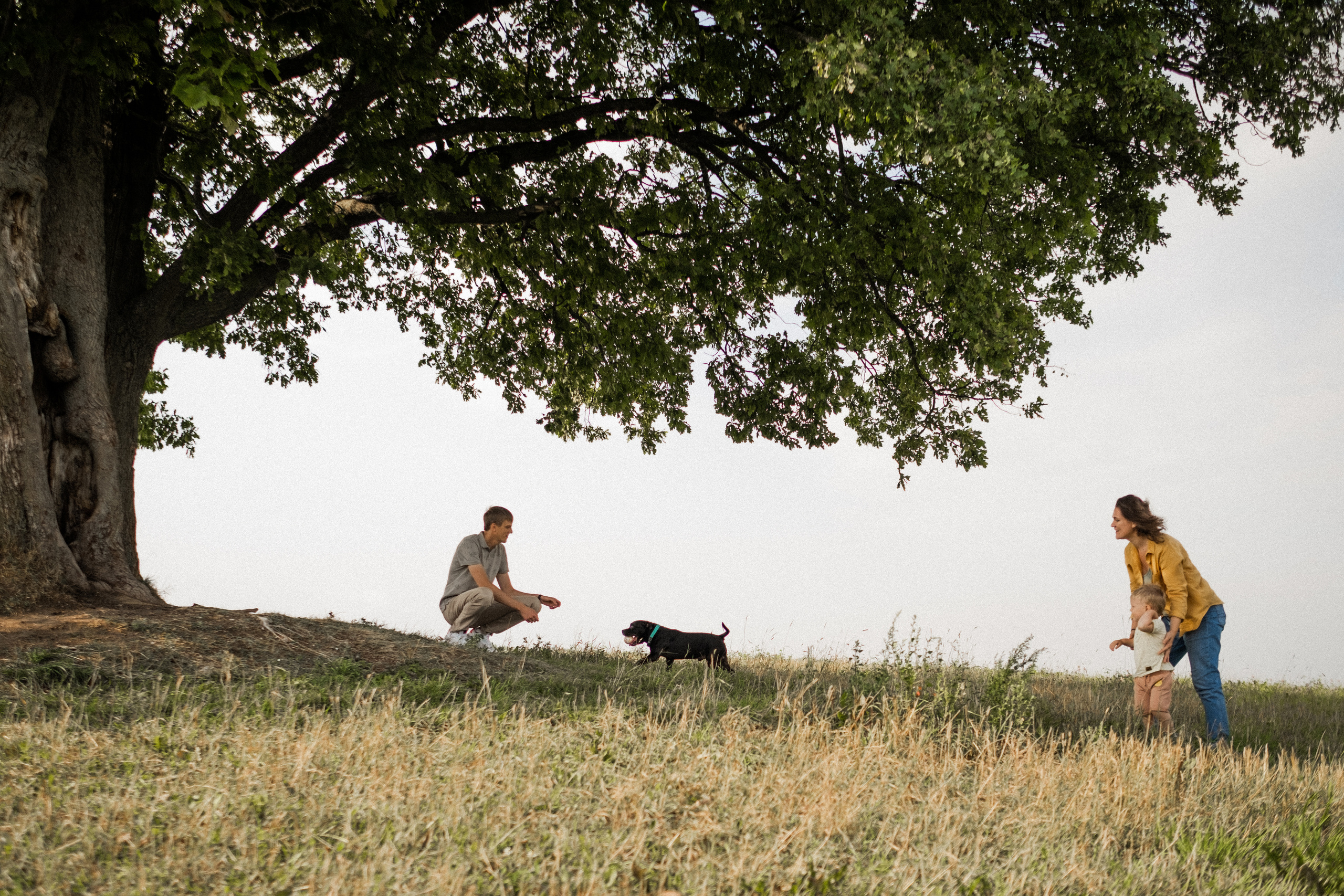 Прогулка в поле. Семейный фотограф в Санкт-Петербурге Дарья Косянчук