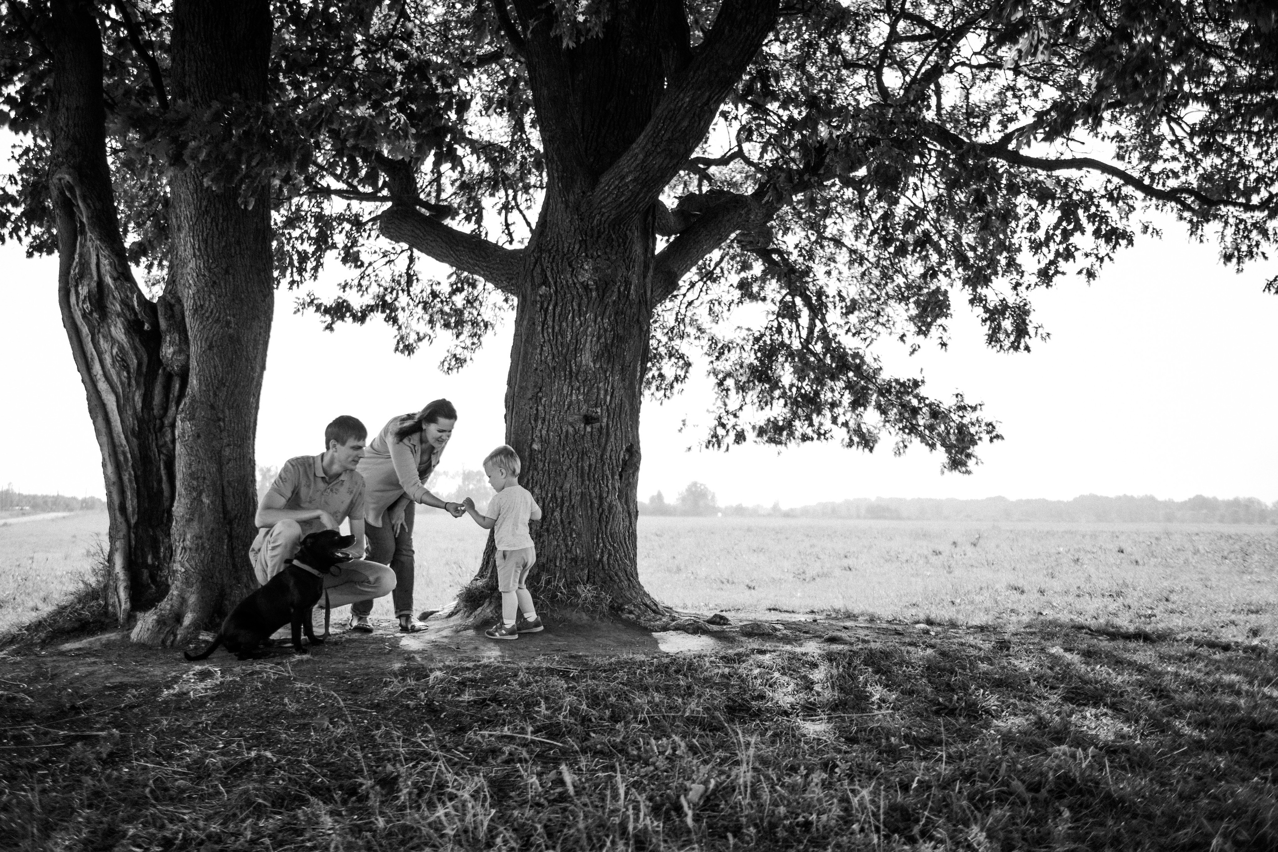 Прогулка в поле. Семейный фотограф в Санкт-Петербурге Дарья Косянчук