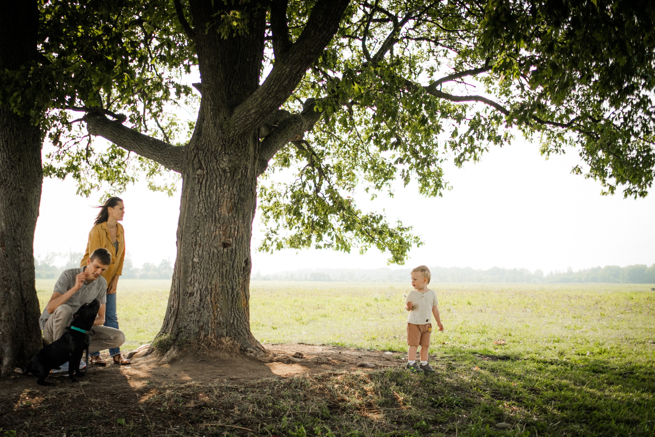 Прогулка в поле. Семейный фотограф в Санкт-Петербурге Дарья Косянчук