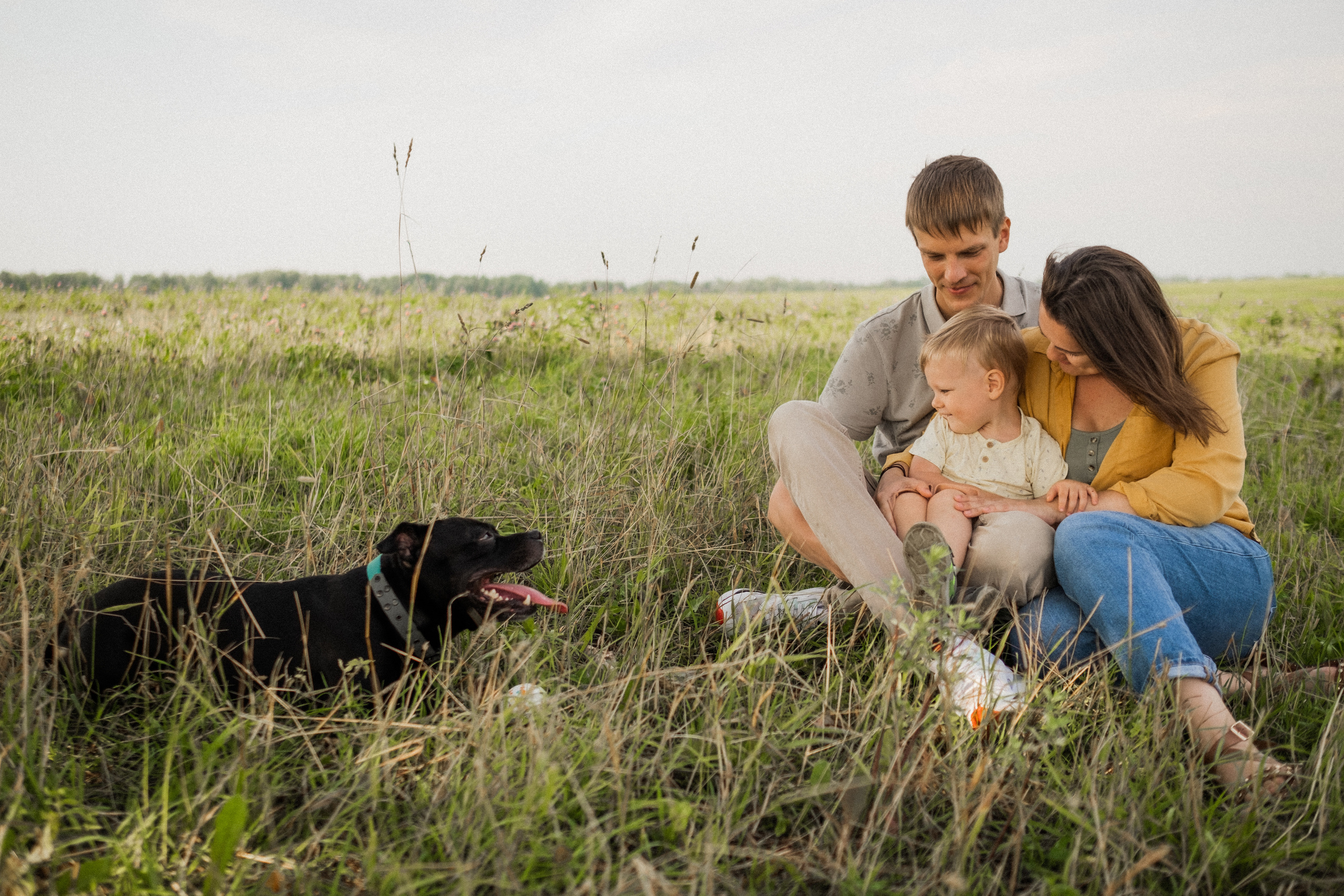 Прогулка в поле. Семейный фотограф в Санкт-Петербурге Дарья Косянчук