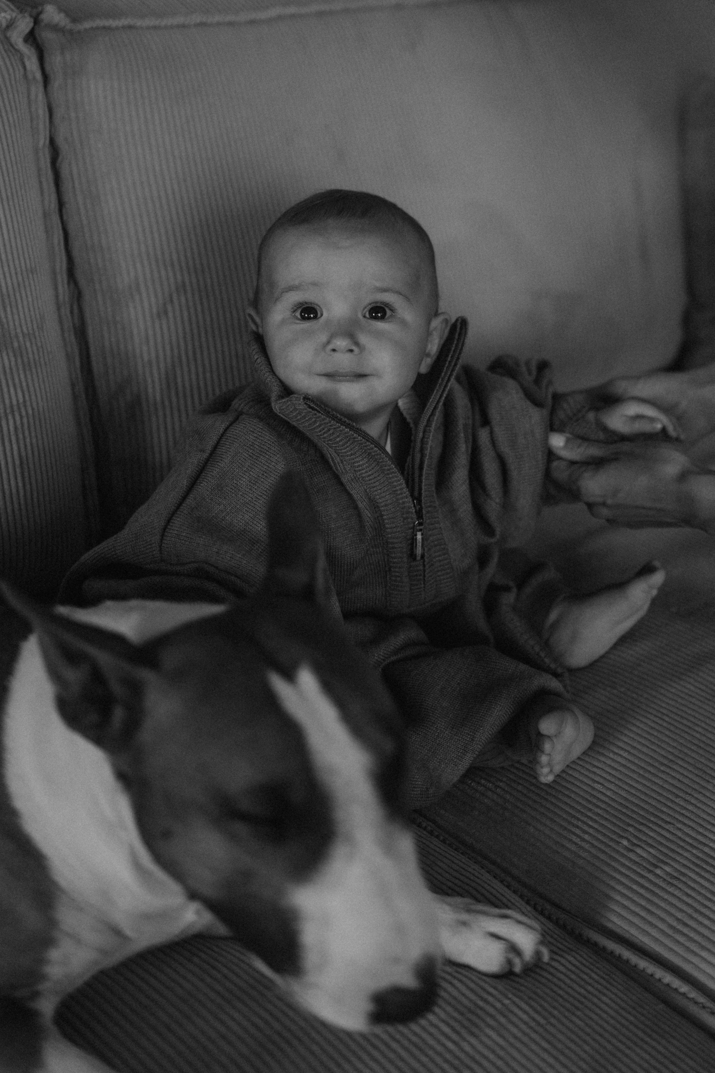 Семейная. Фотораф — анималист Мария Шистка