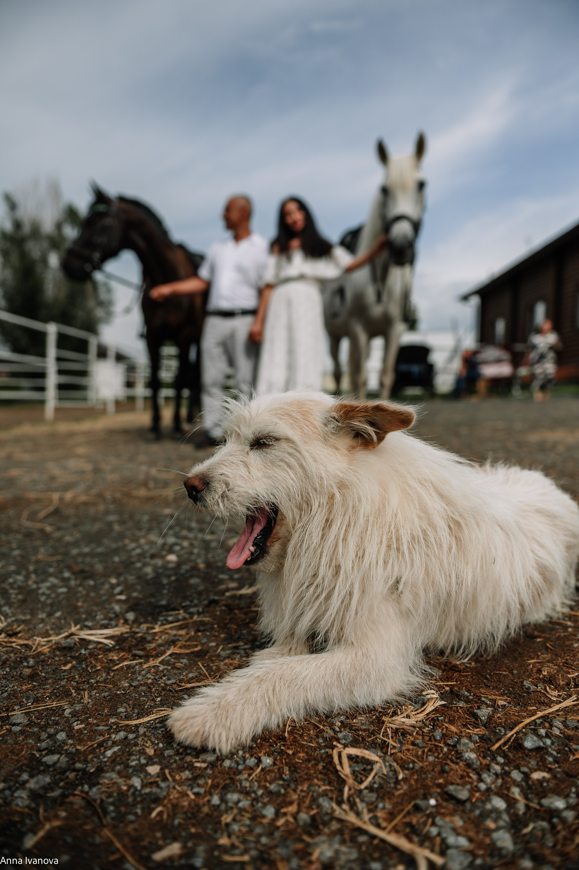 Свадебная фотосессия. Анна Иванова Свадебный Фотограф Чебоксары