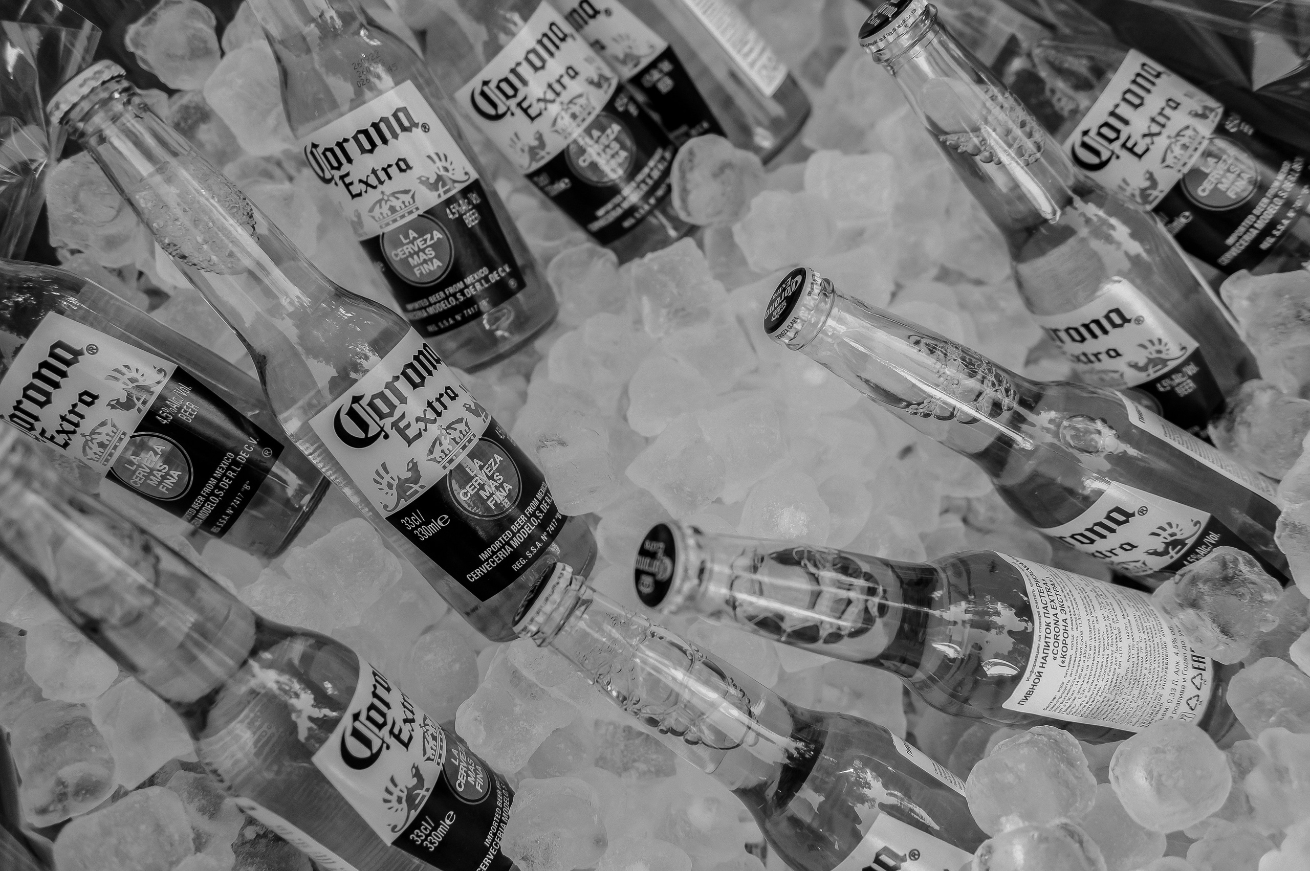 Екатерина и Михаил, 2023. Анна Пушина, фотограф, Москва, Королев, Пушкино