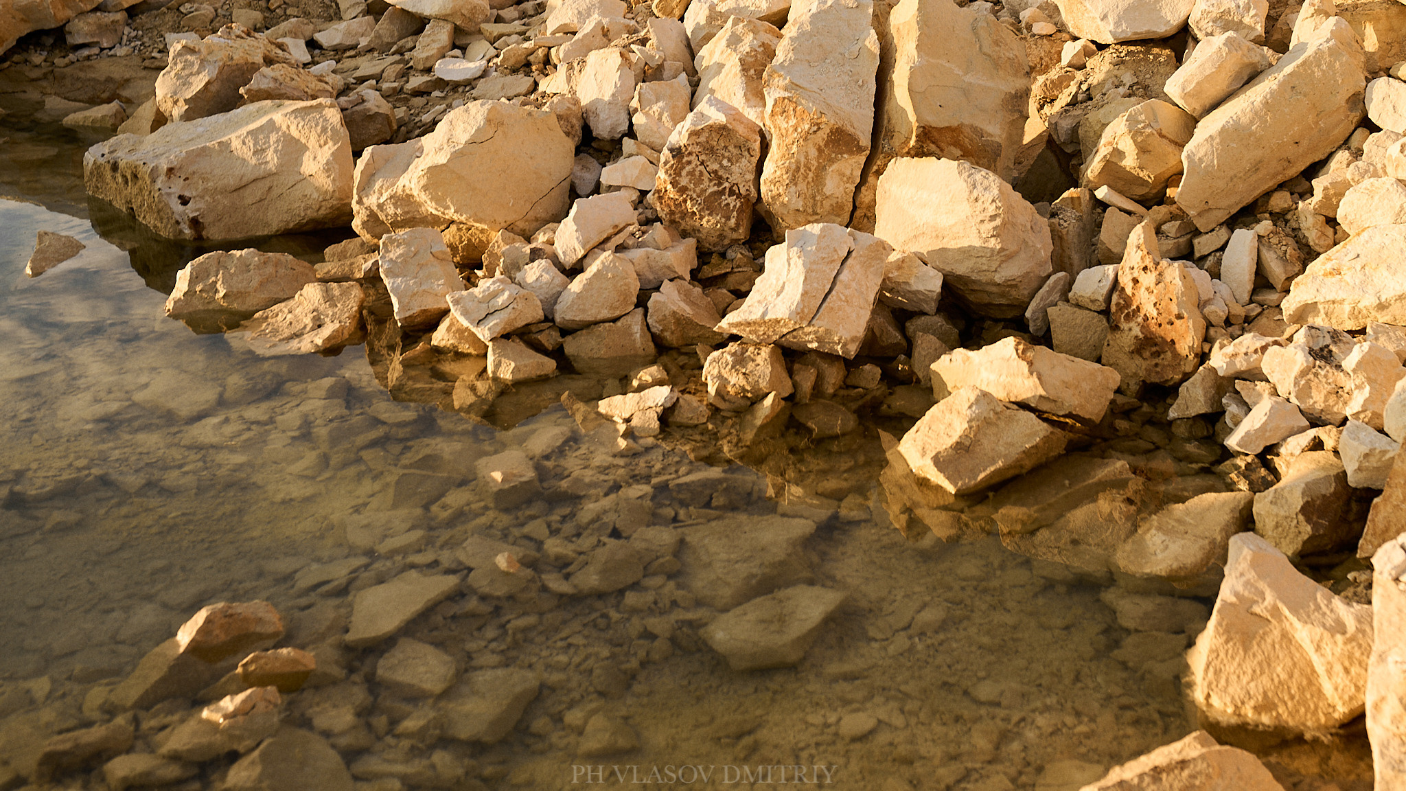 Миша и Влада. Семейный и свадебный фотограф в Сарове Дмитрий Власов