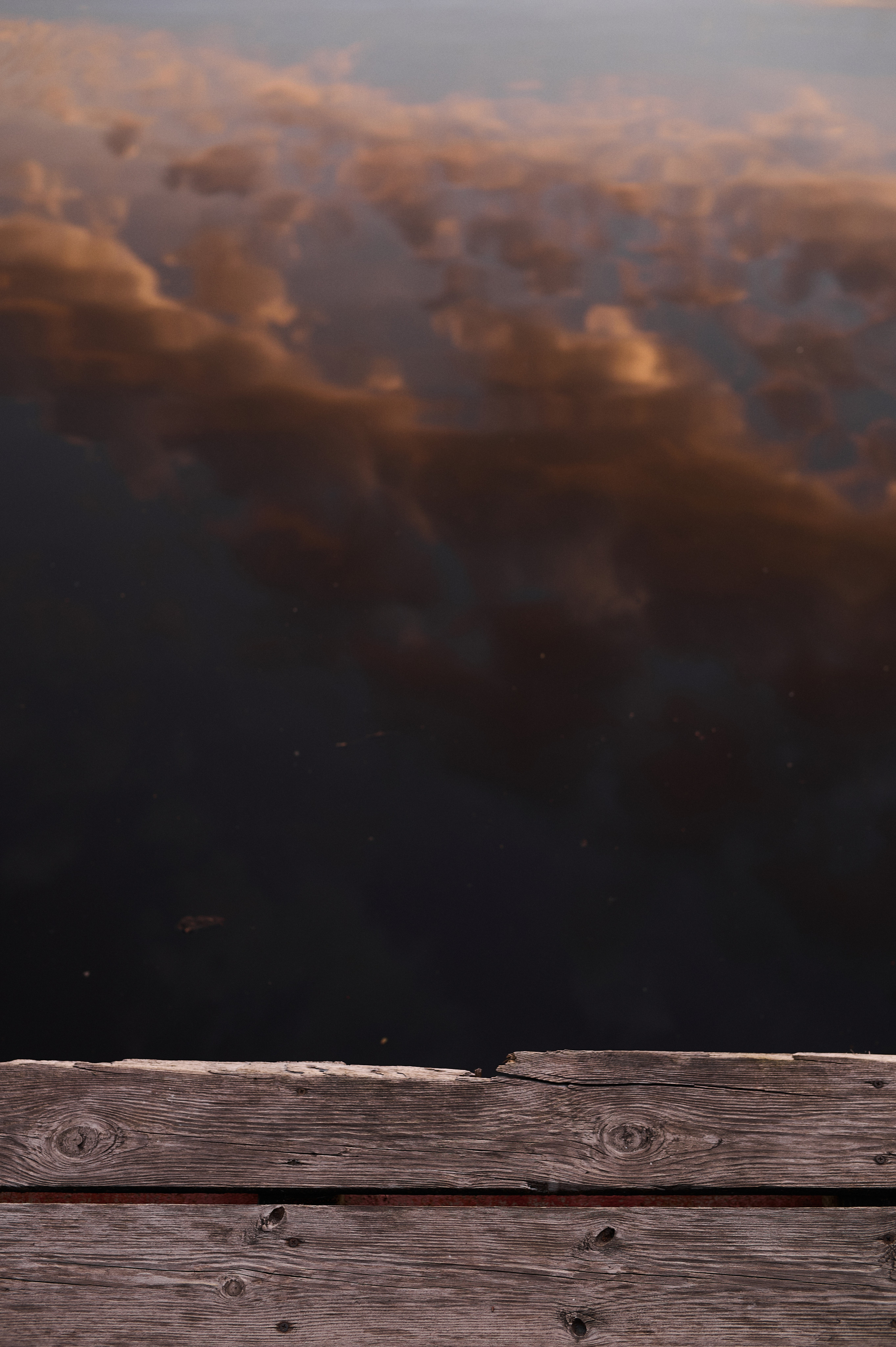 Алиса. Семейный и свадебный фотограф в Сарове Дмитрий Власов