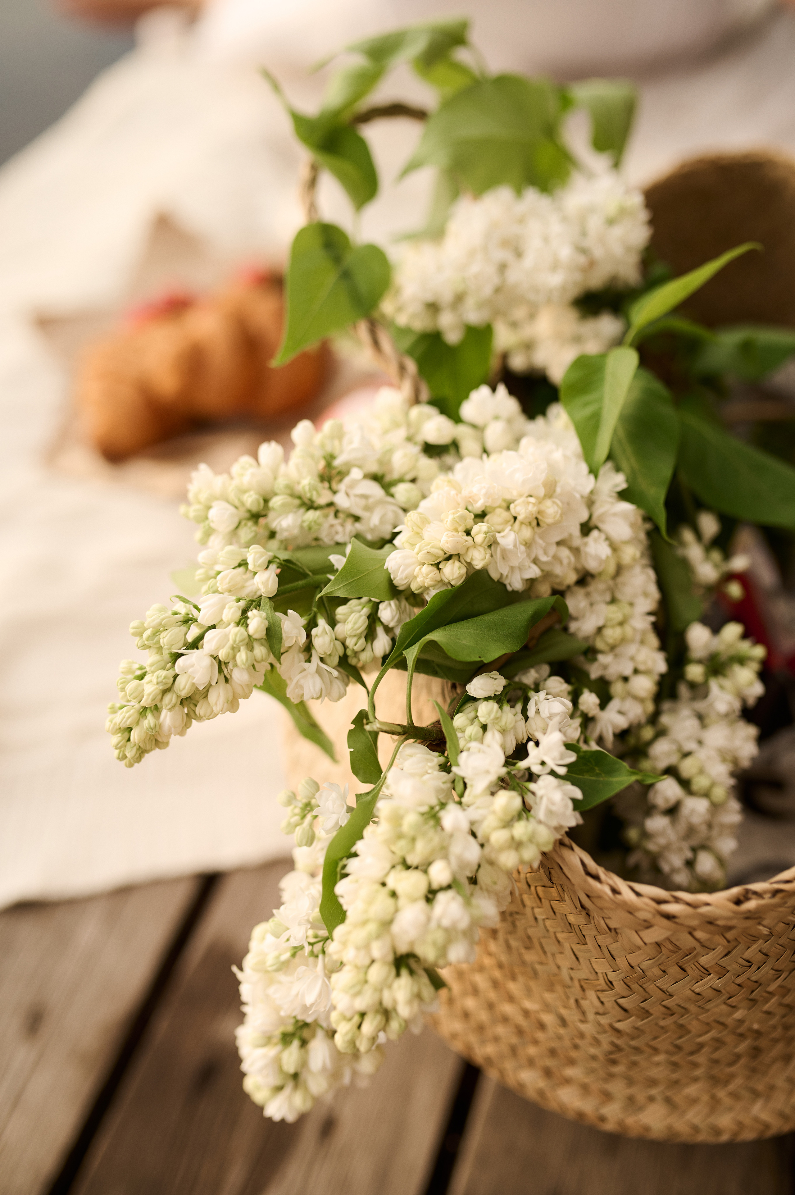 Алиса. Семейный и свадебный фотограф в Сарове Дмитрий Власов