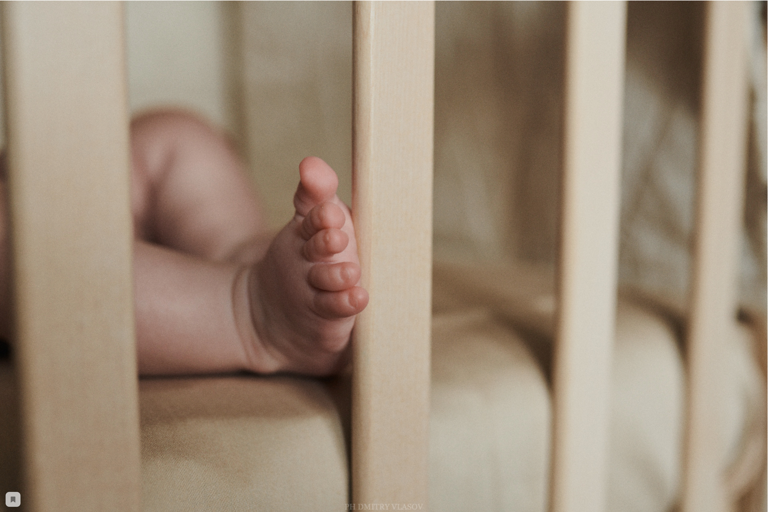 Король Лев. Семейный и свадебный фотограф в Сарове Дмитрий Власов