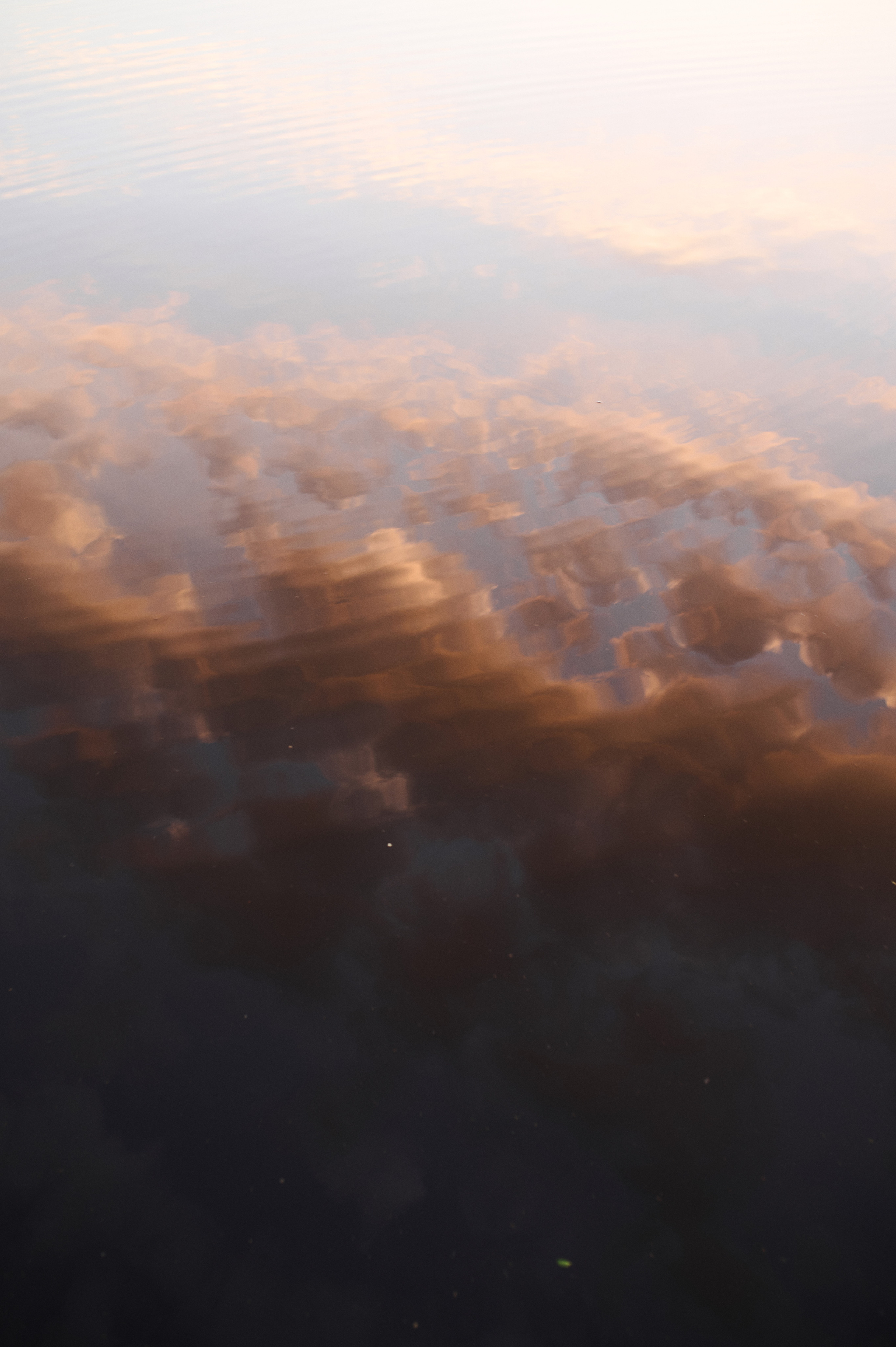 Алиса. Семейный и свадебный фотограф в Сарове Дмитрий Власов