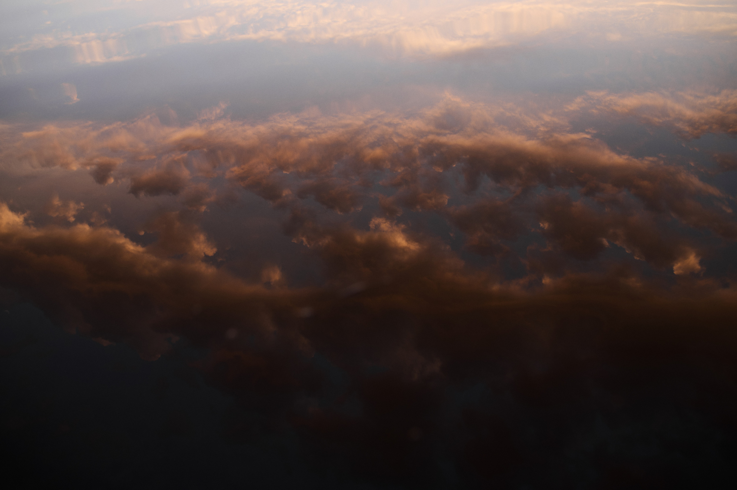 Алиса. Семейный и свадебный фотограф в Сарове Дмитрий Власов