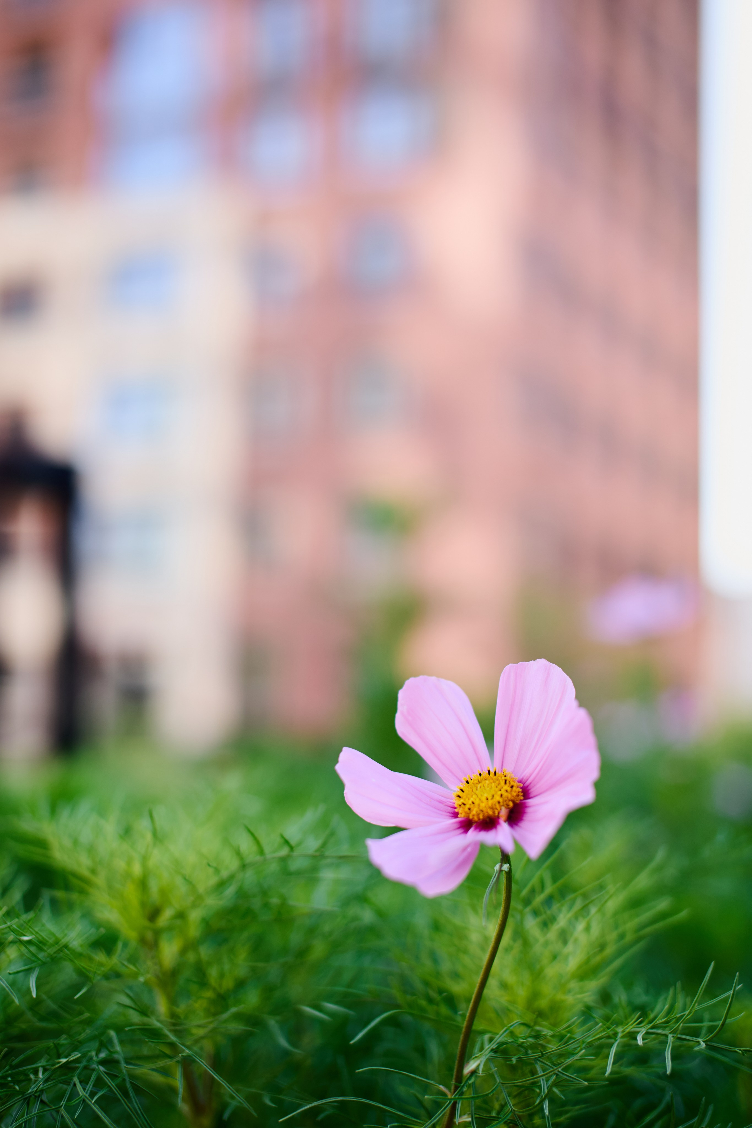Семейная фотосессия в ЖК Академия для рекламы (Новосибирск). Репортажный и женский фотограф в Новосибирске