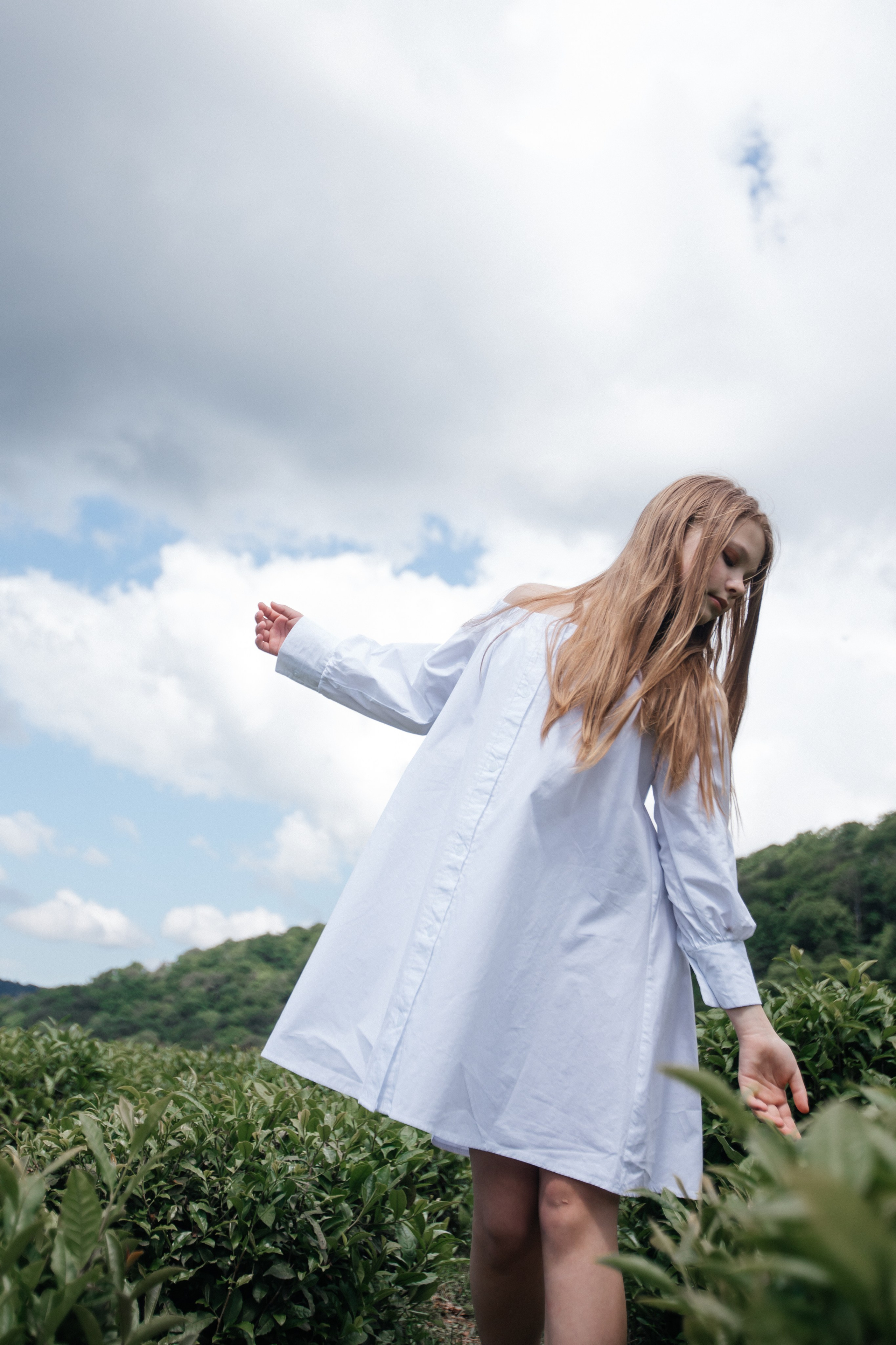 Tea plantation. Efimova Model Agency