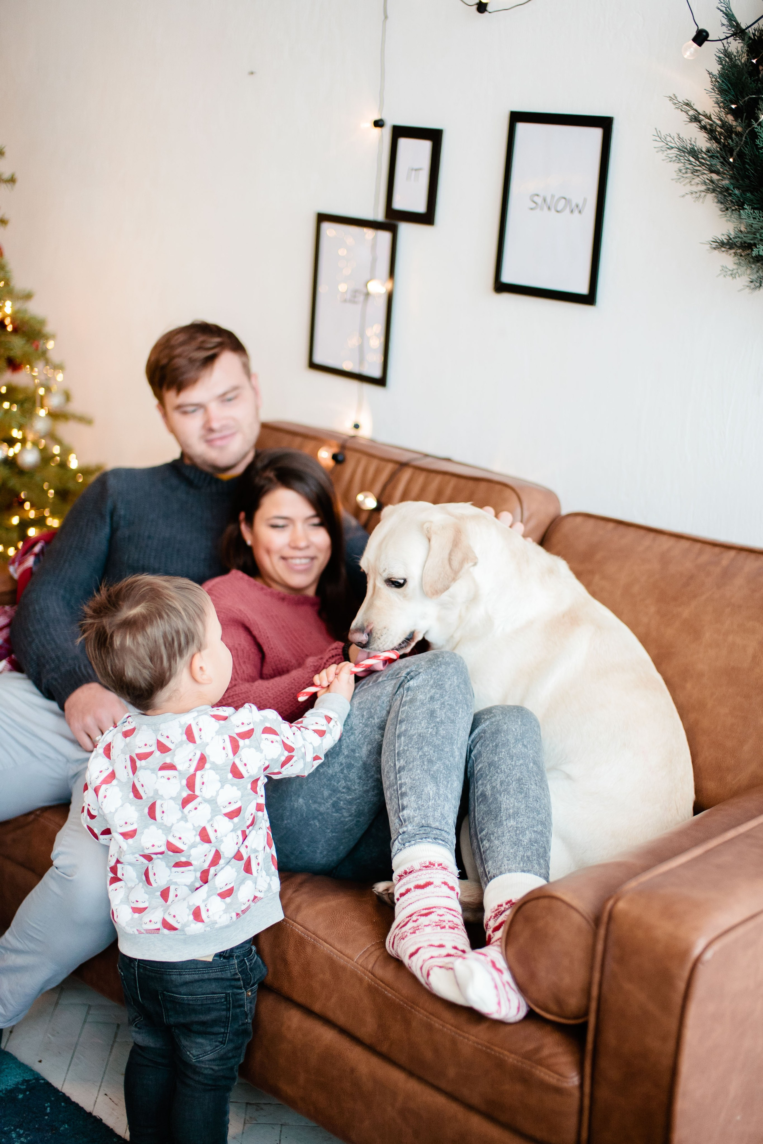 Семейная Новогодняя фотосессия в студии, фотограф в Москве