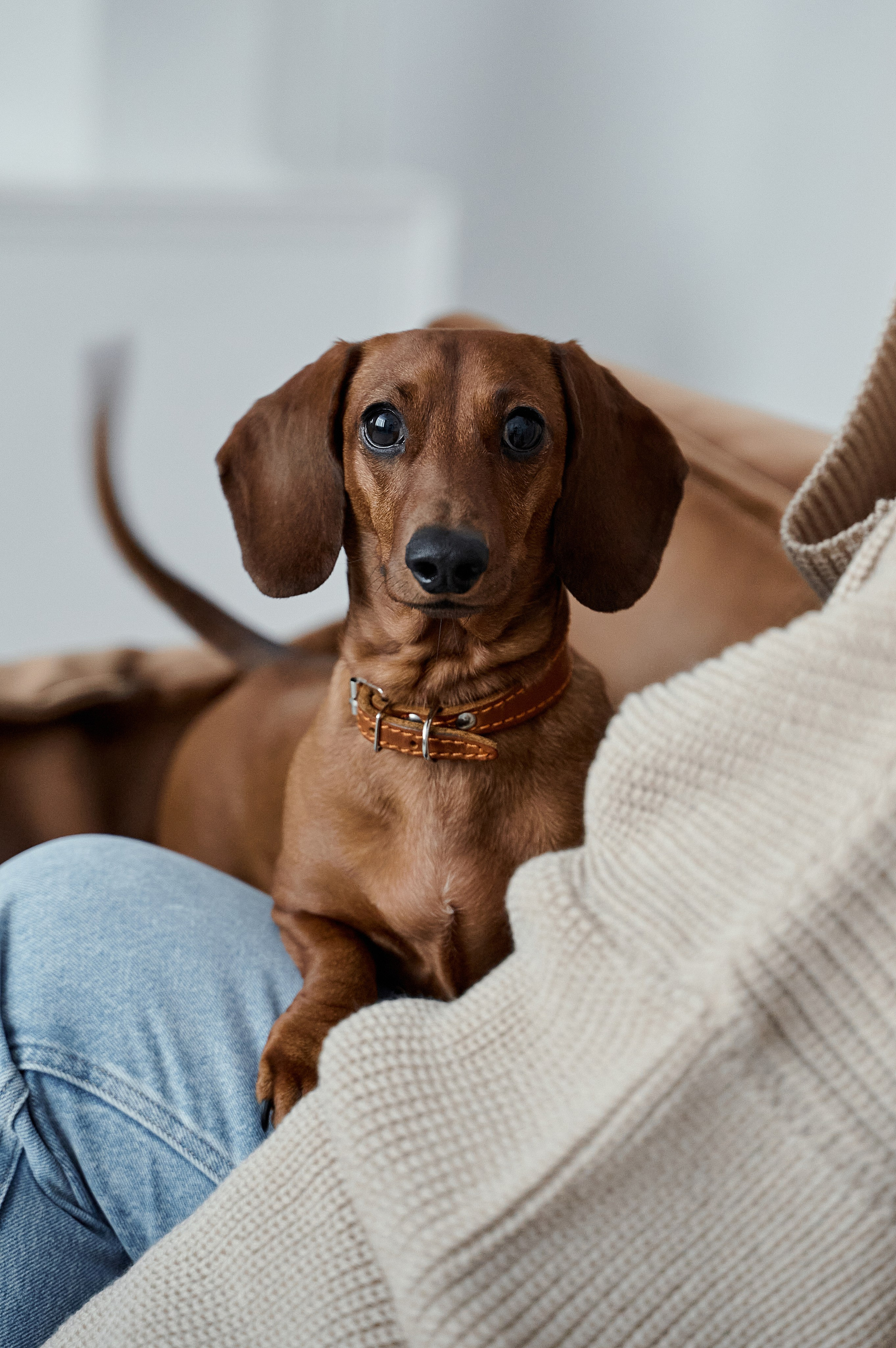 Саша. Свадебный и портретный фотограф в Брянске Скепская Лилия