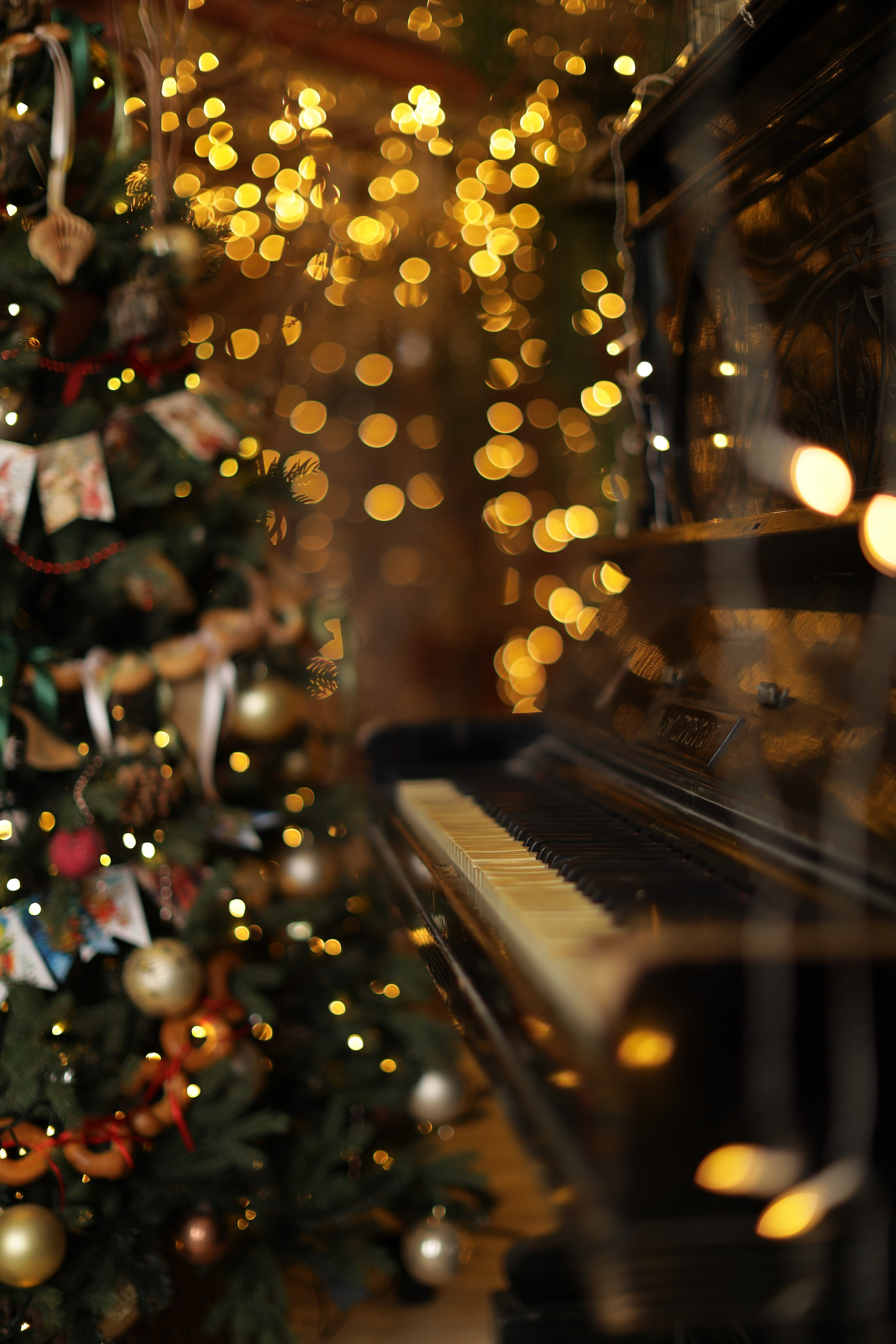 Фотостудия «Роял» зал Теплица. Свадебный фотограф в Ростове Александра Груздева