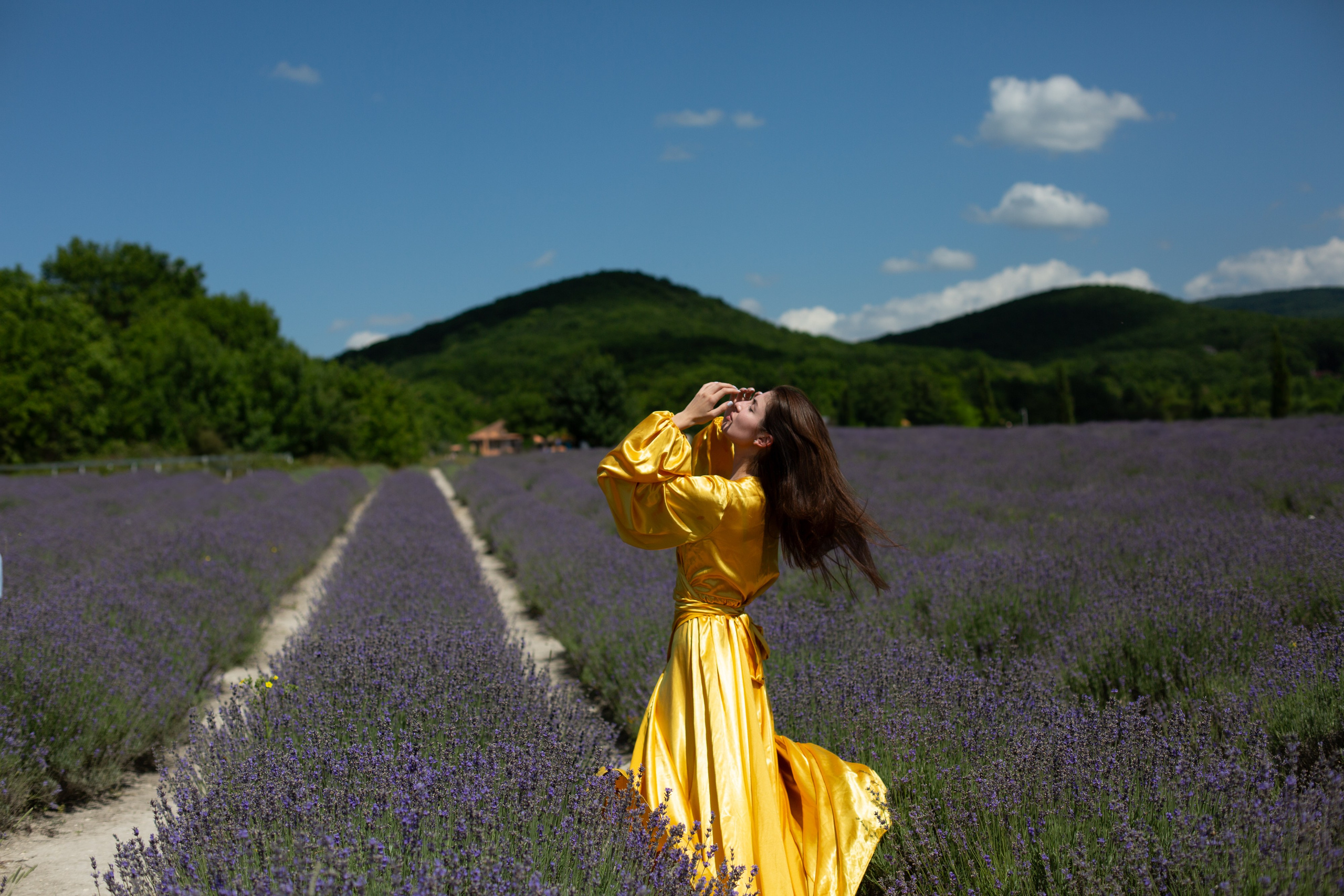 Лавандовые поля