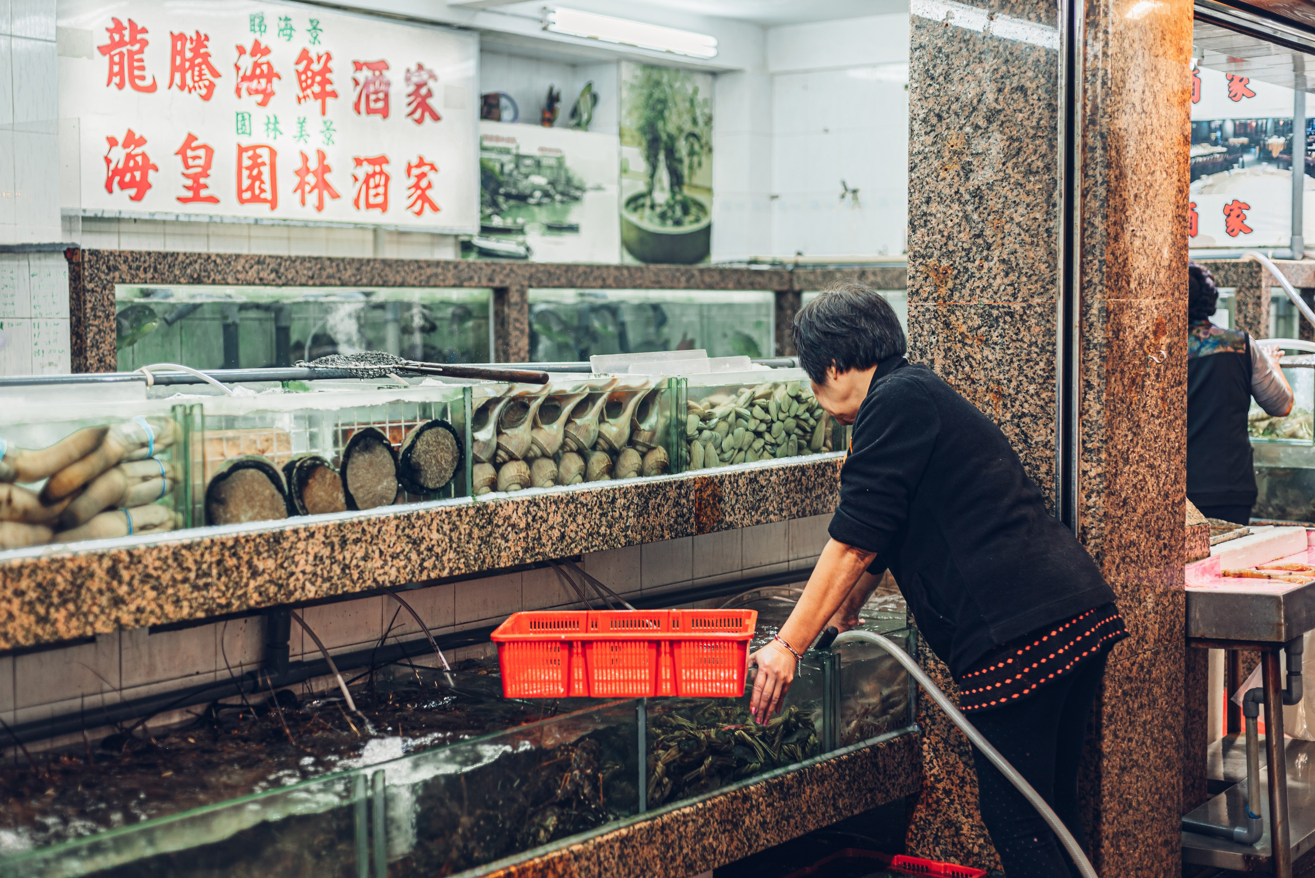 Путешествие рекламного фотографа из Гуанчжоу по Гонконгу 2 | Истории и вдохновение. Коммерческий и предметный фотограф в Гуанчжоу Коваленко Александр