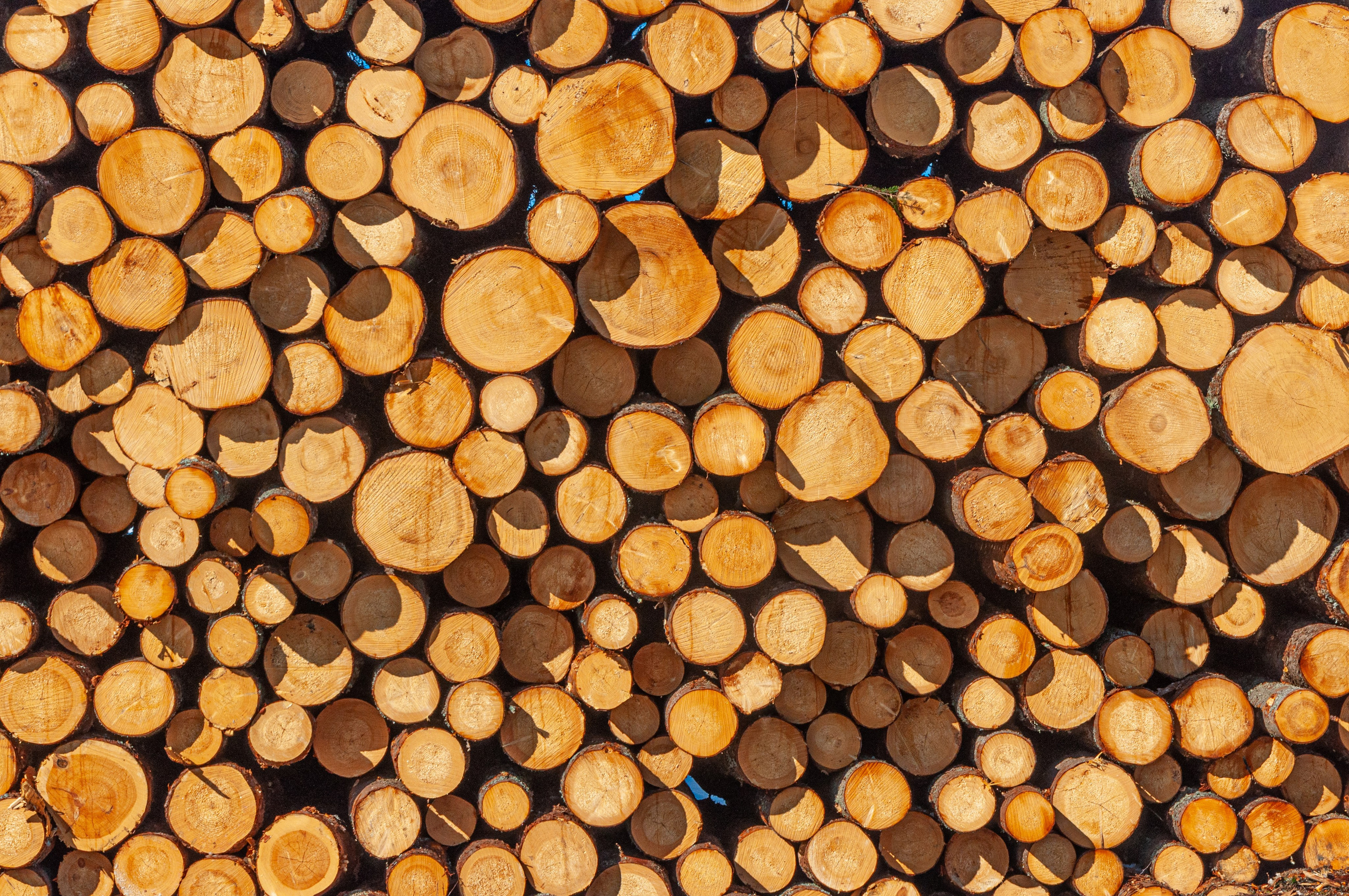 Пейзажи и архитектура. Портретная и репортажная съёмка