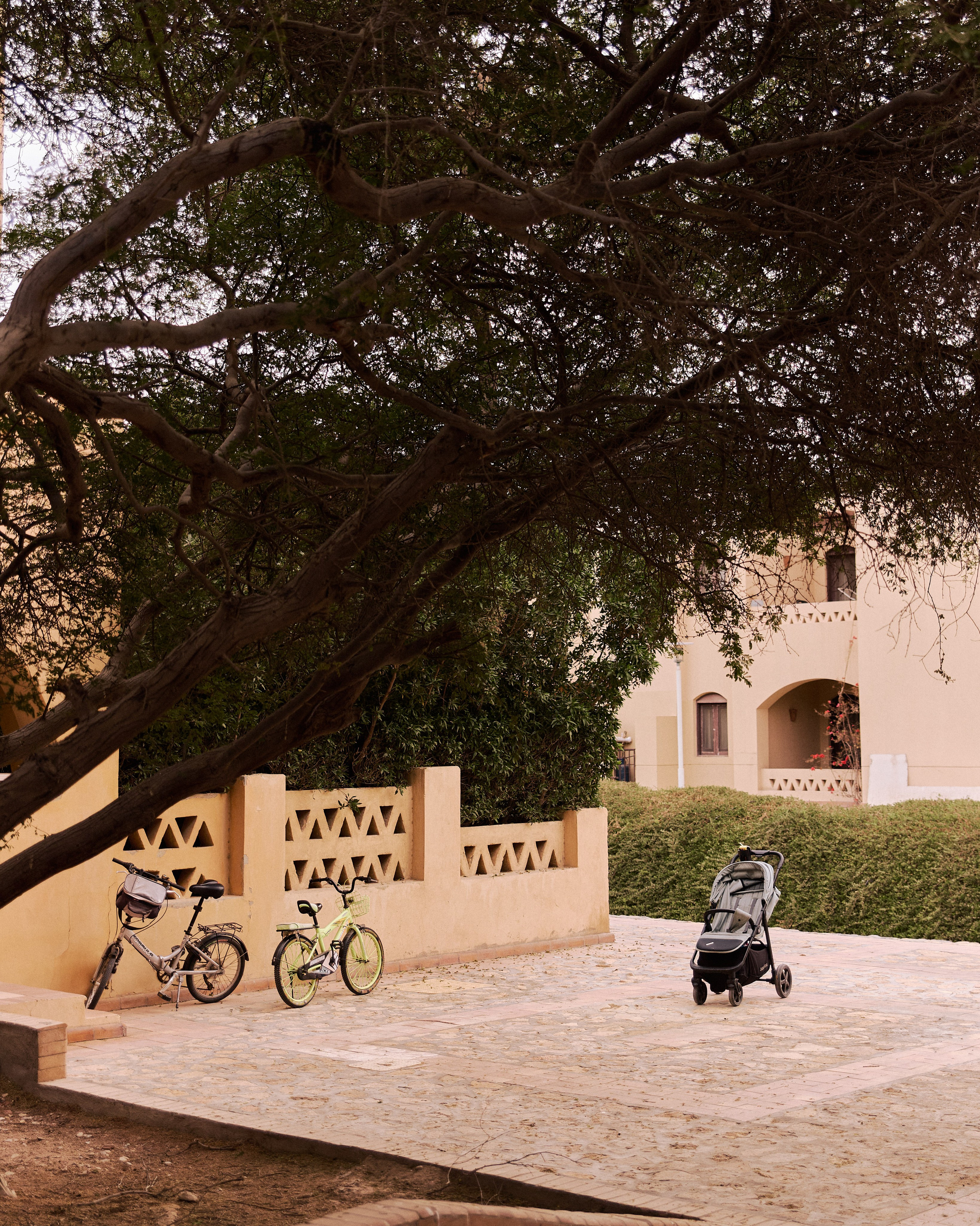 Другое 2. Jorgis Talè — photographer, kind person, teacher of arts and other mag