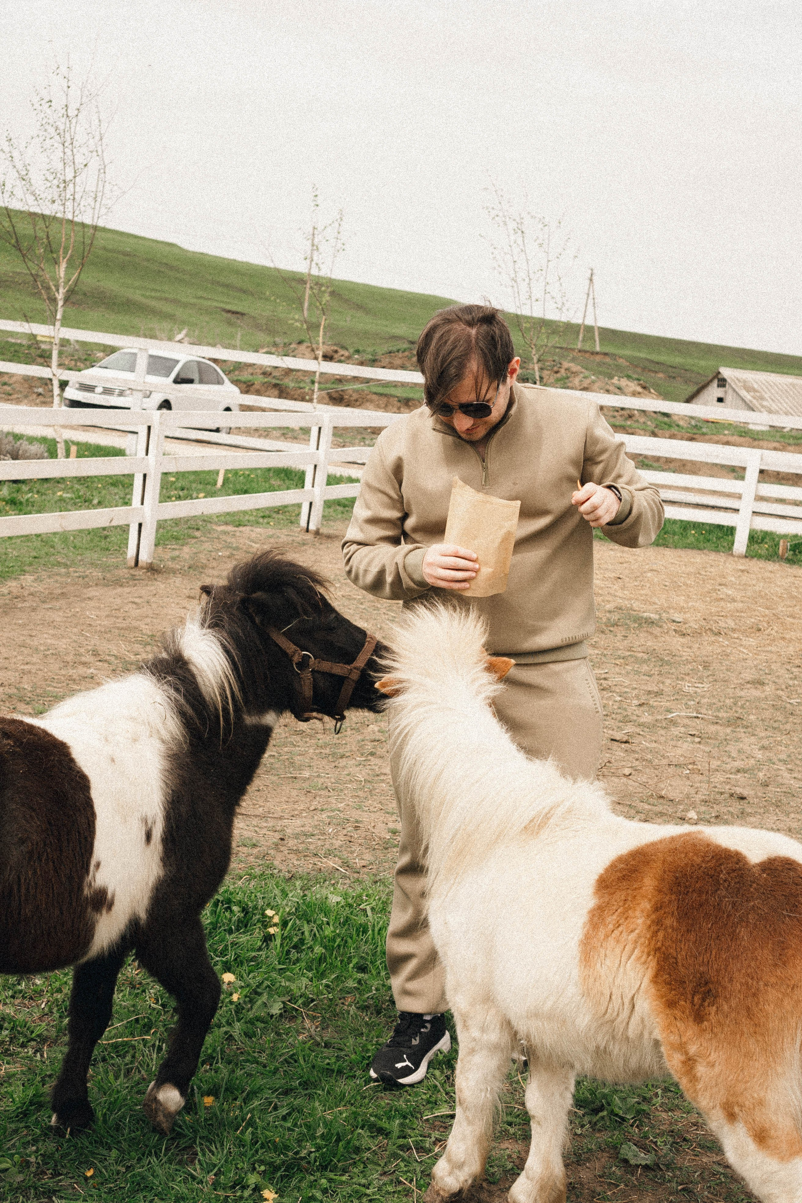 Ферма Альпак. Профессиональный фотограф, Санкт-Петербург — Виктория Богомолова