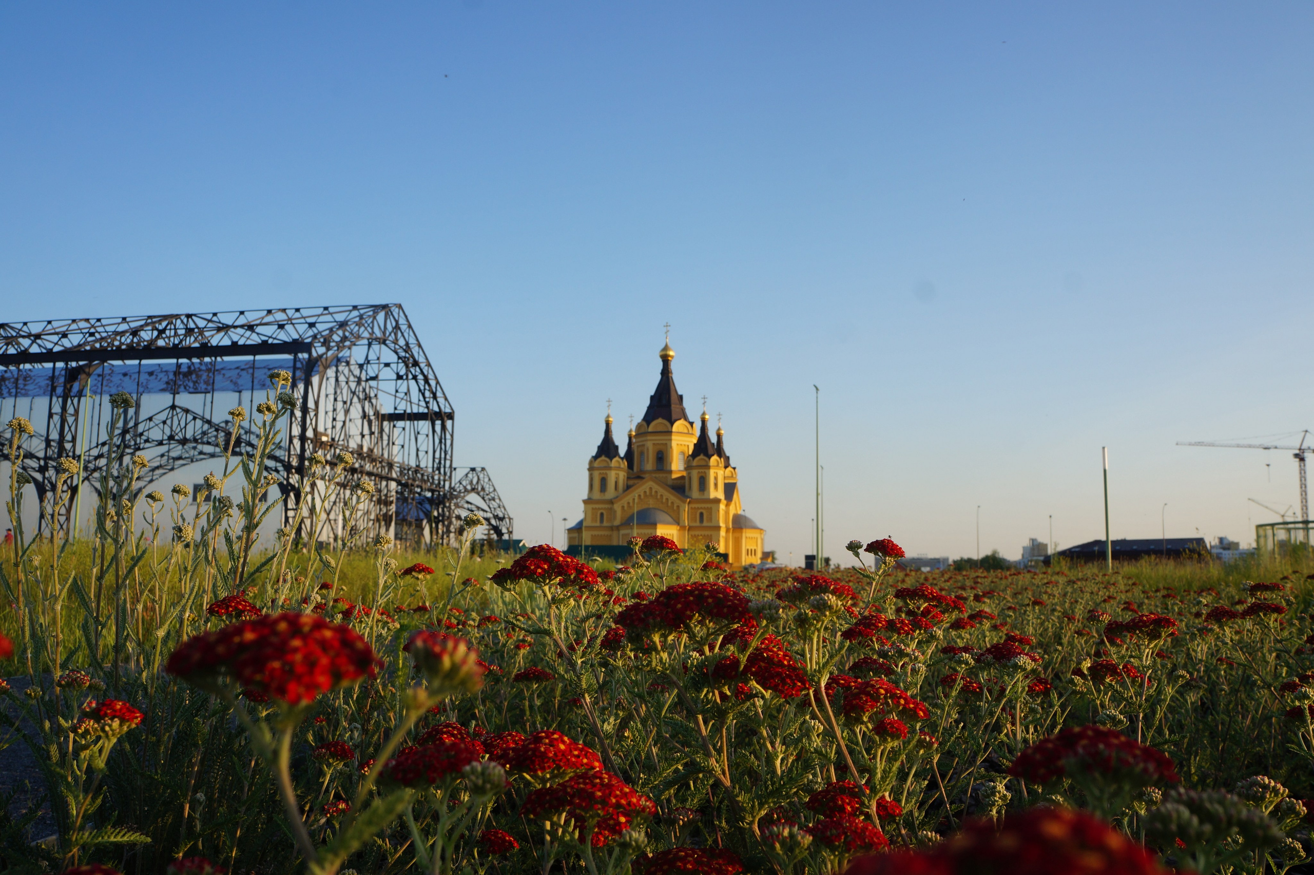 Портфолио. Фотограф в Москве Александра