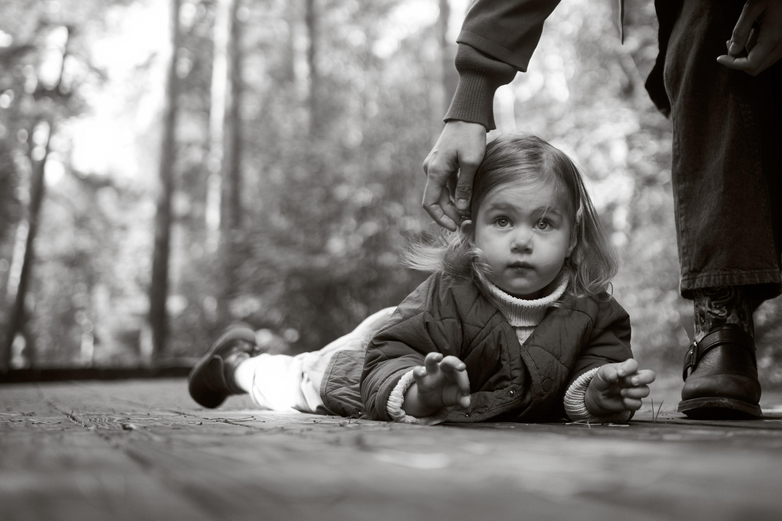 Печенье в песке. Фотограф анималист Москва Дарья