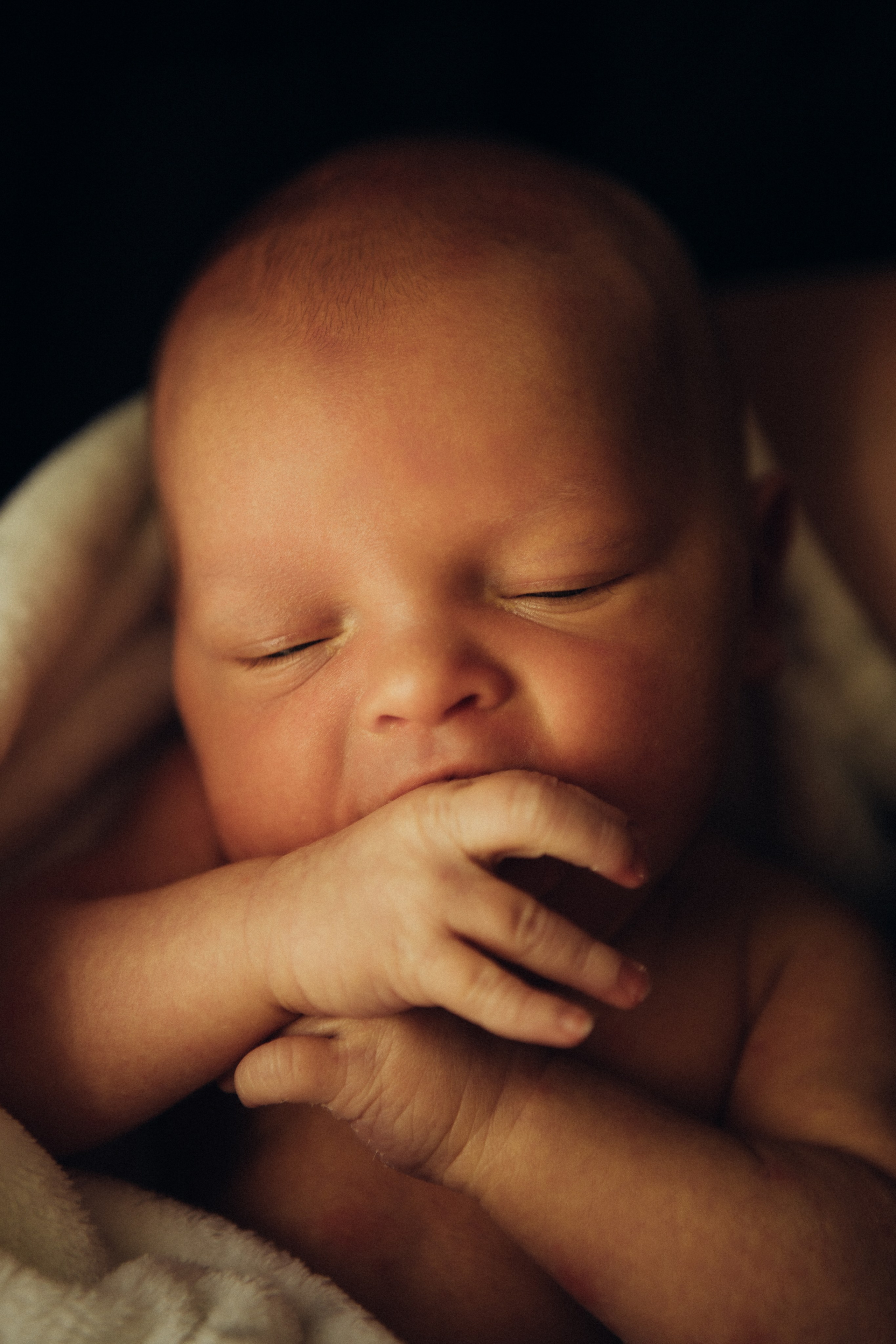Кирюша. Профессиональный фотограф в Москве Светлана Скрипник