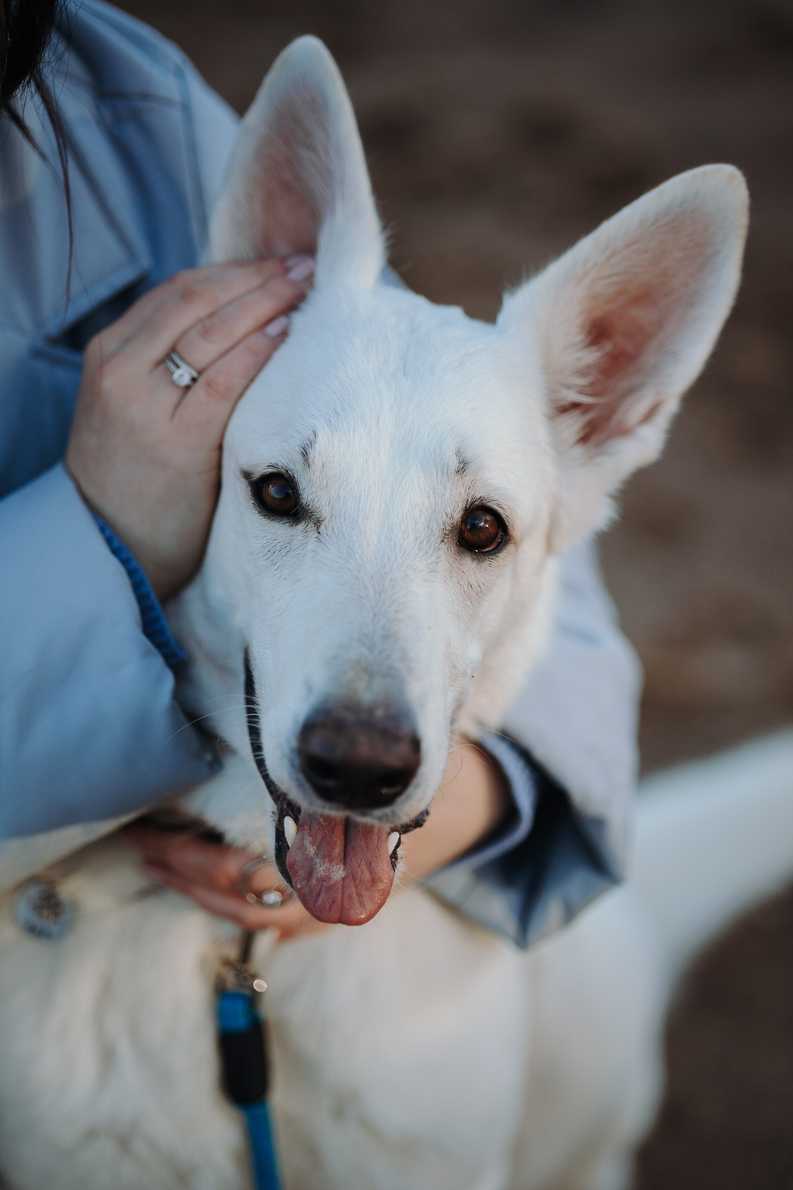 Настя и Эва. Фотограф — Анималист | Санкт-Петербург