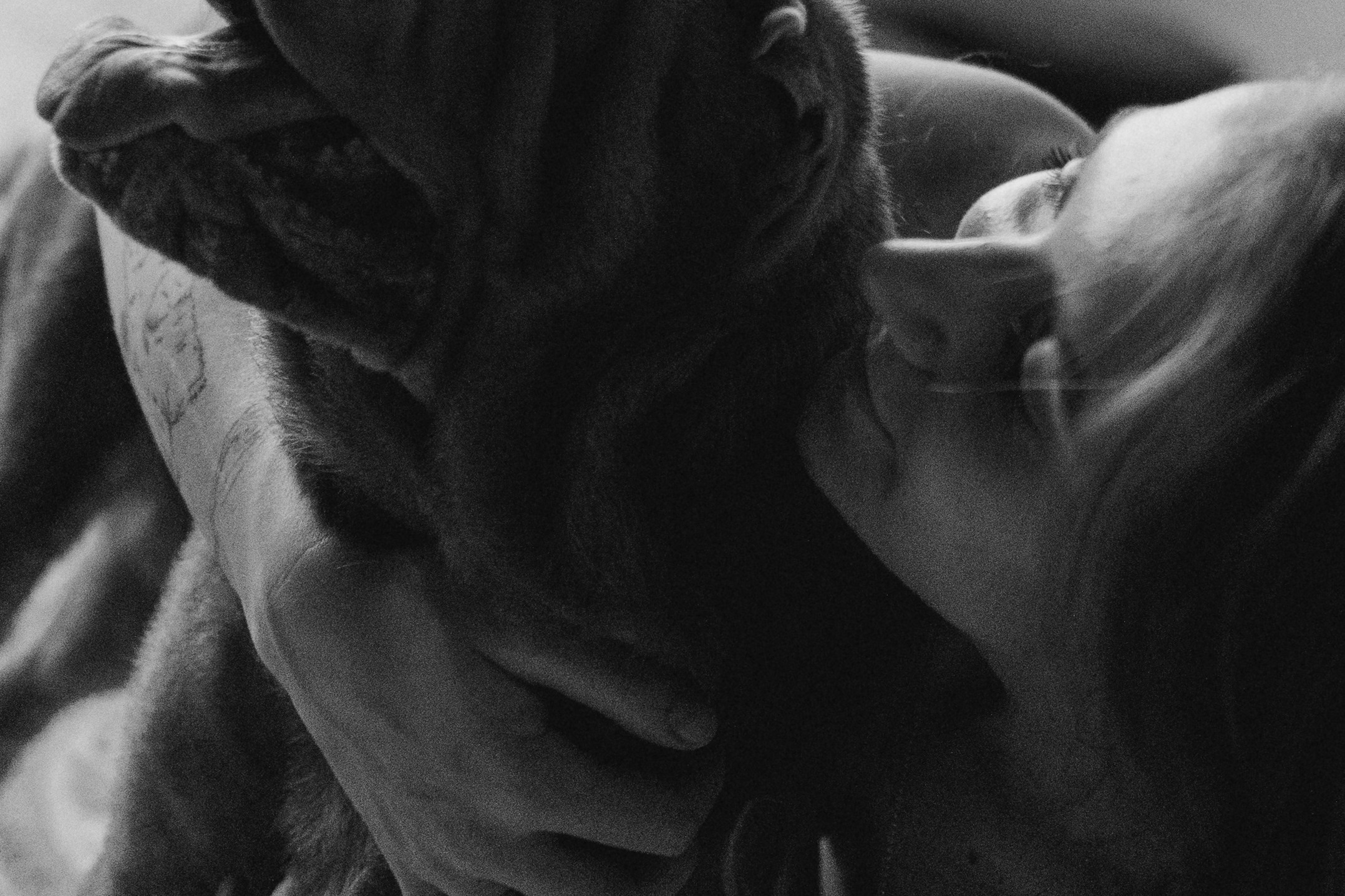 Ульяна и Вагнер. Фотограф — Анималист | Санкт-Петербург