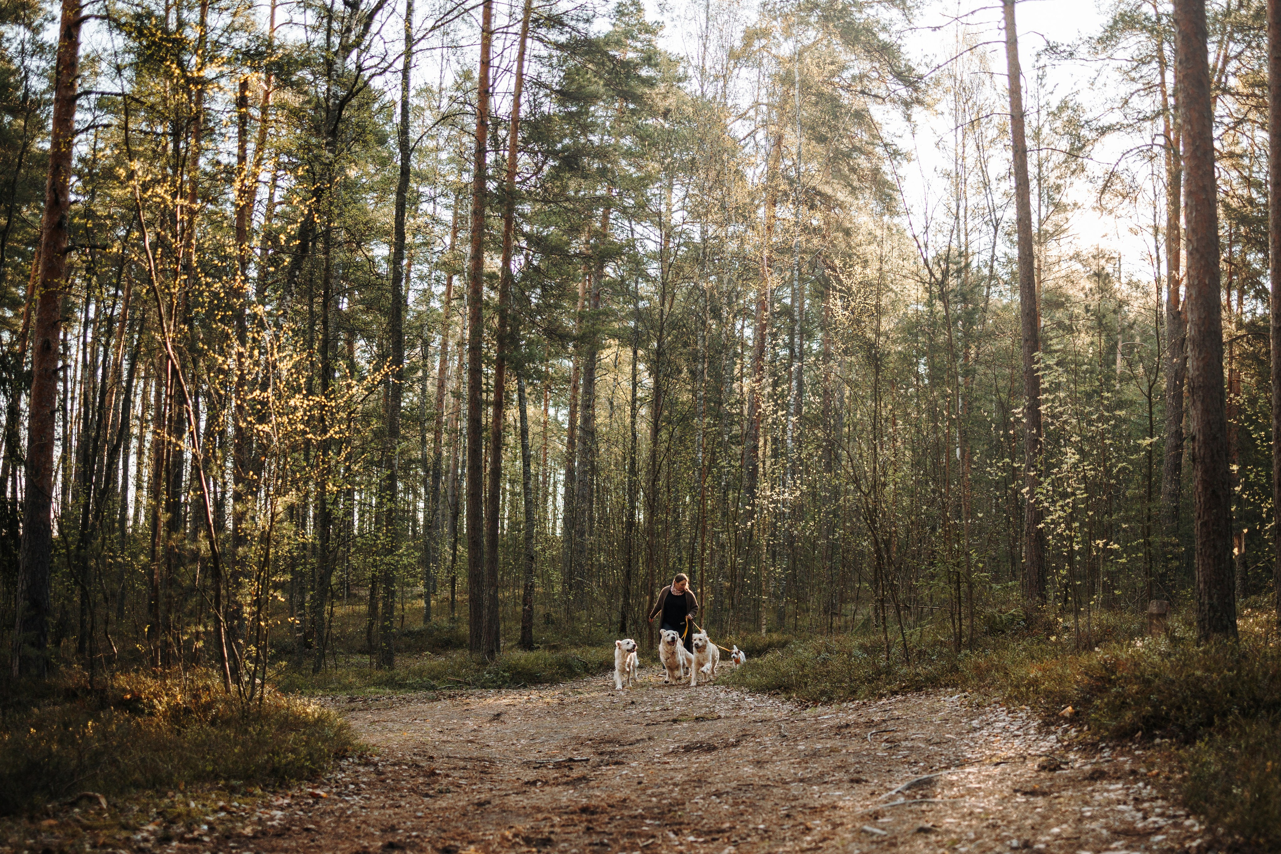Катя и ее девочки. Фотограф — Анималист | Санкт-Петербург