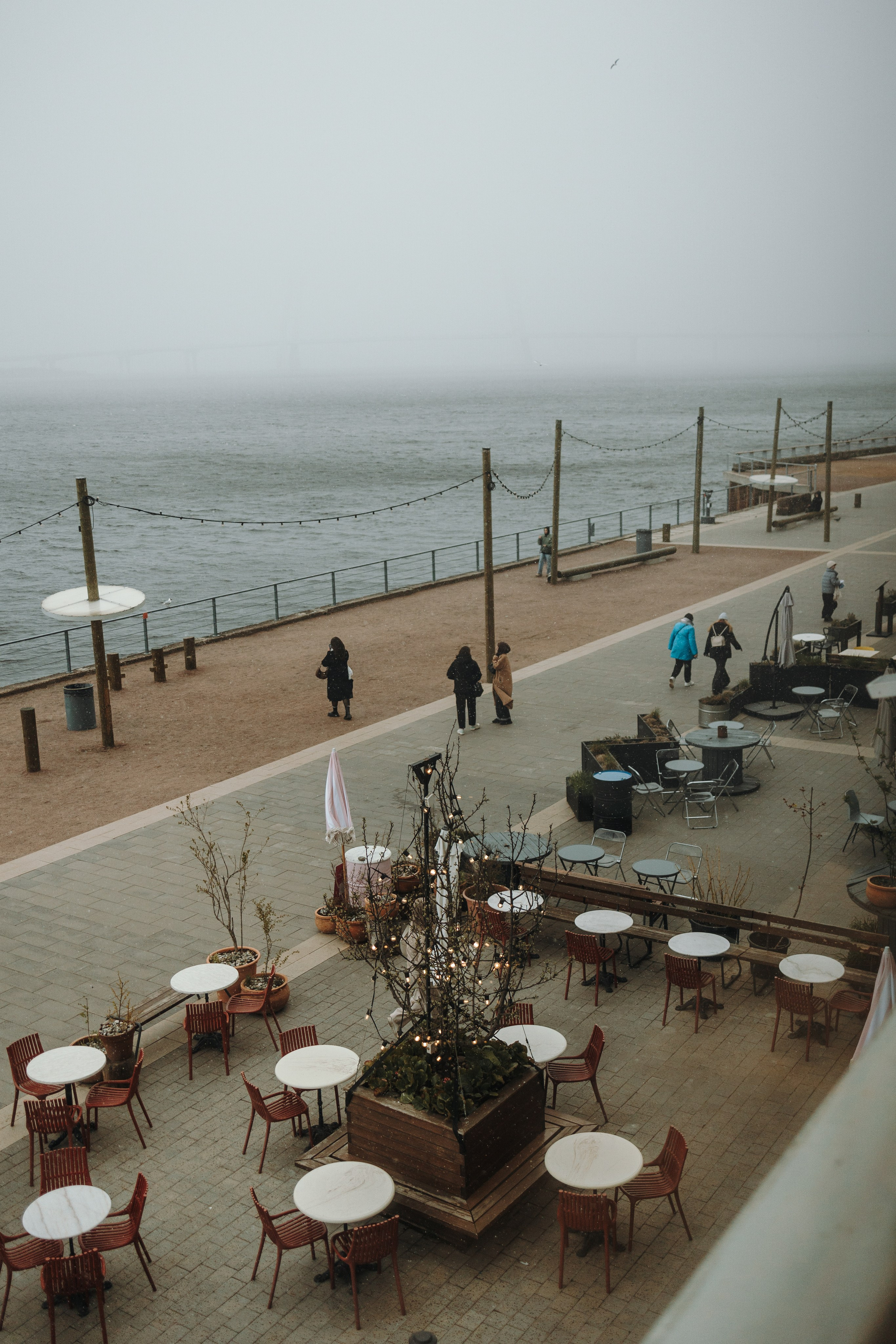 Катя и ее мальчики. Фотограф — Анималист | Санкт-Петербург