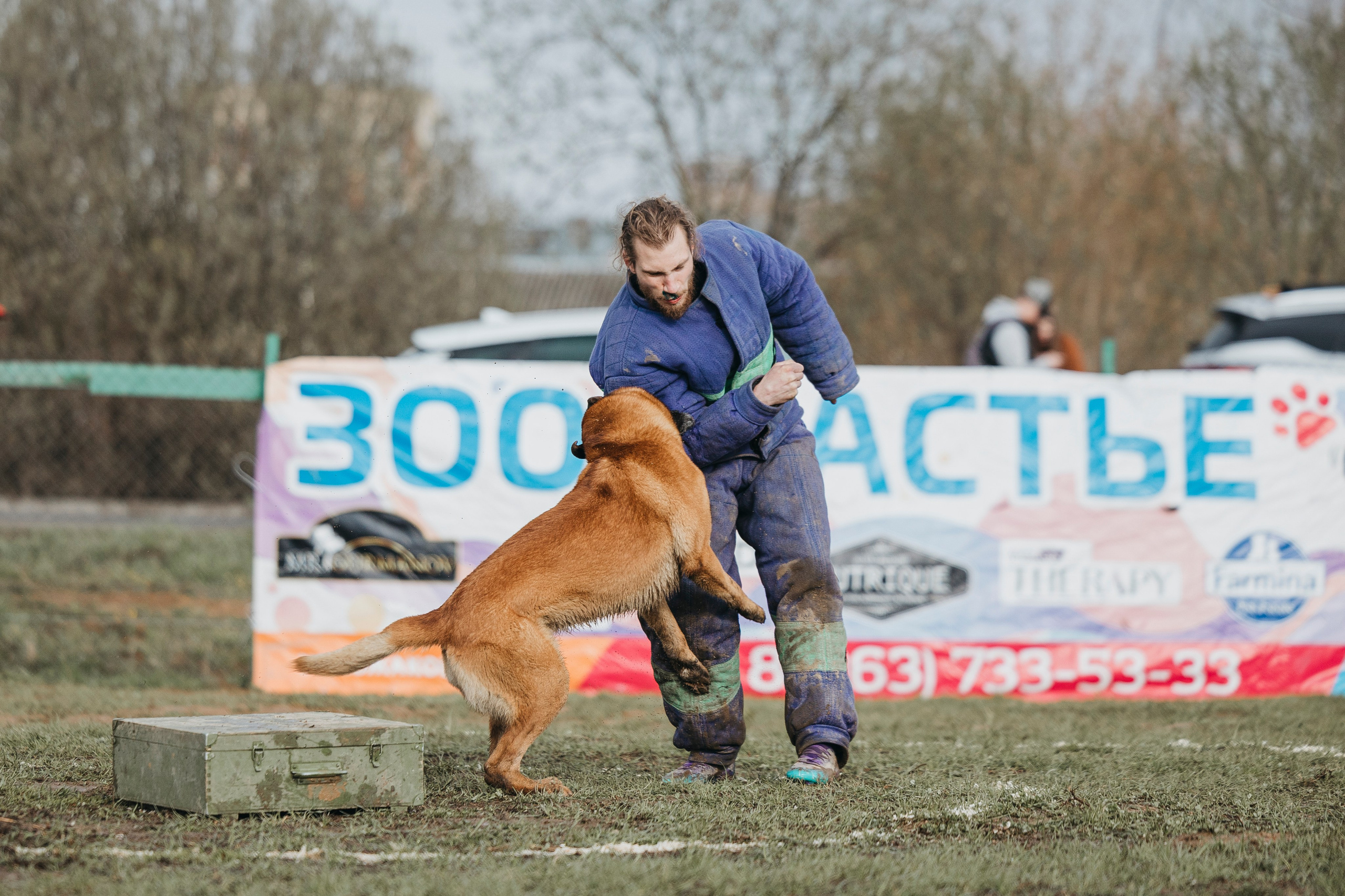 09.05.25 Вологда соревнования. Фотограф-анималист Анна Маринич