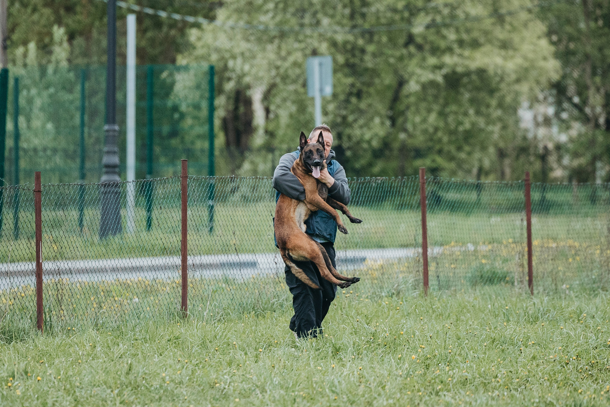 26.05.25 г. Пушкин квалификационные соревнования. Фотограф-анималист Анна Маринич