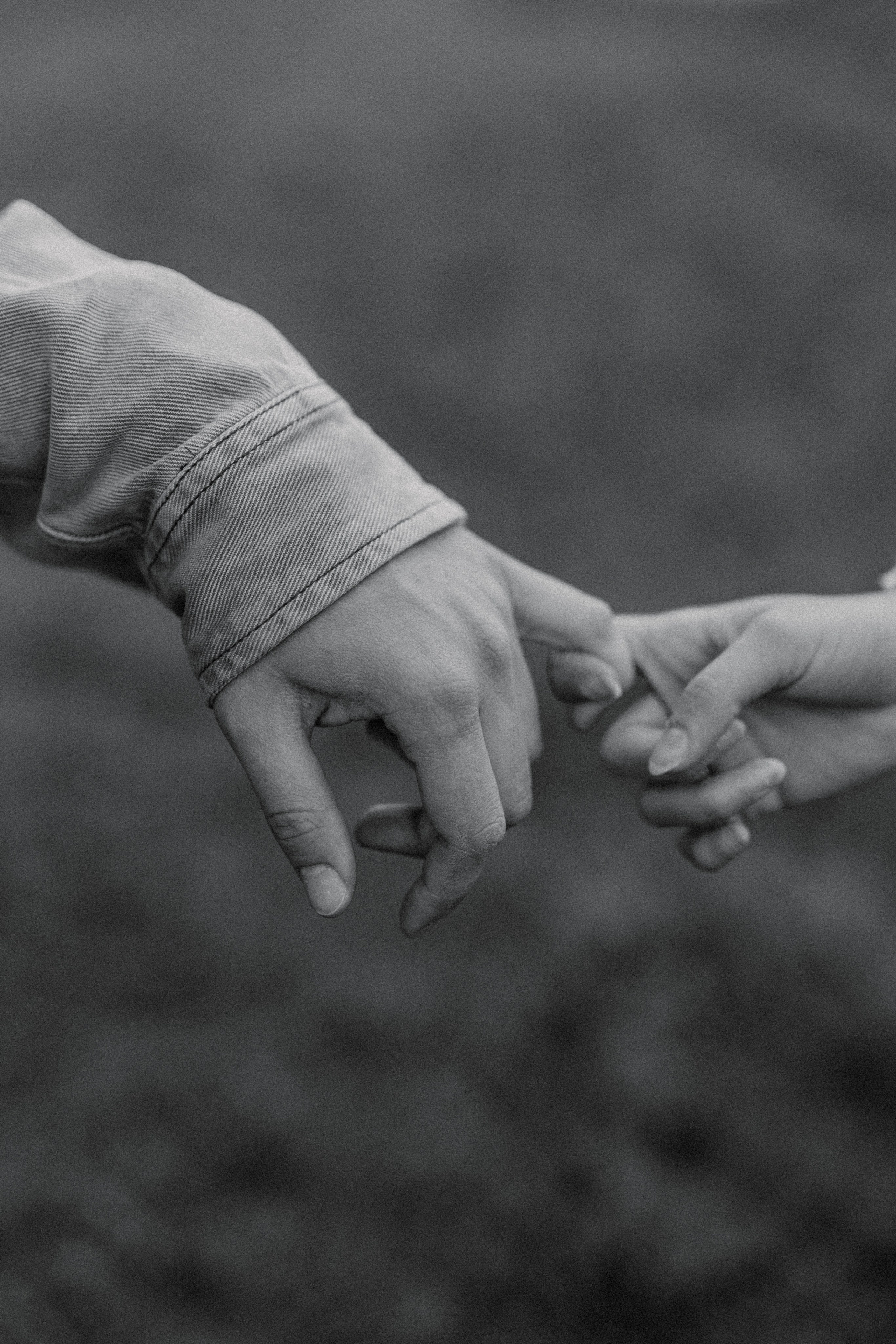 Коржик. Свадебный и портретный фотограф в Москве, Туле и Брянске Дара Евсеева