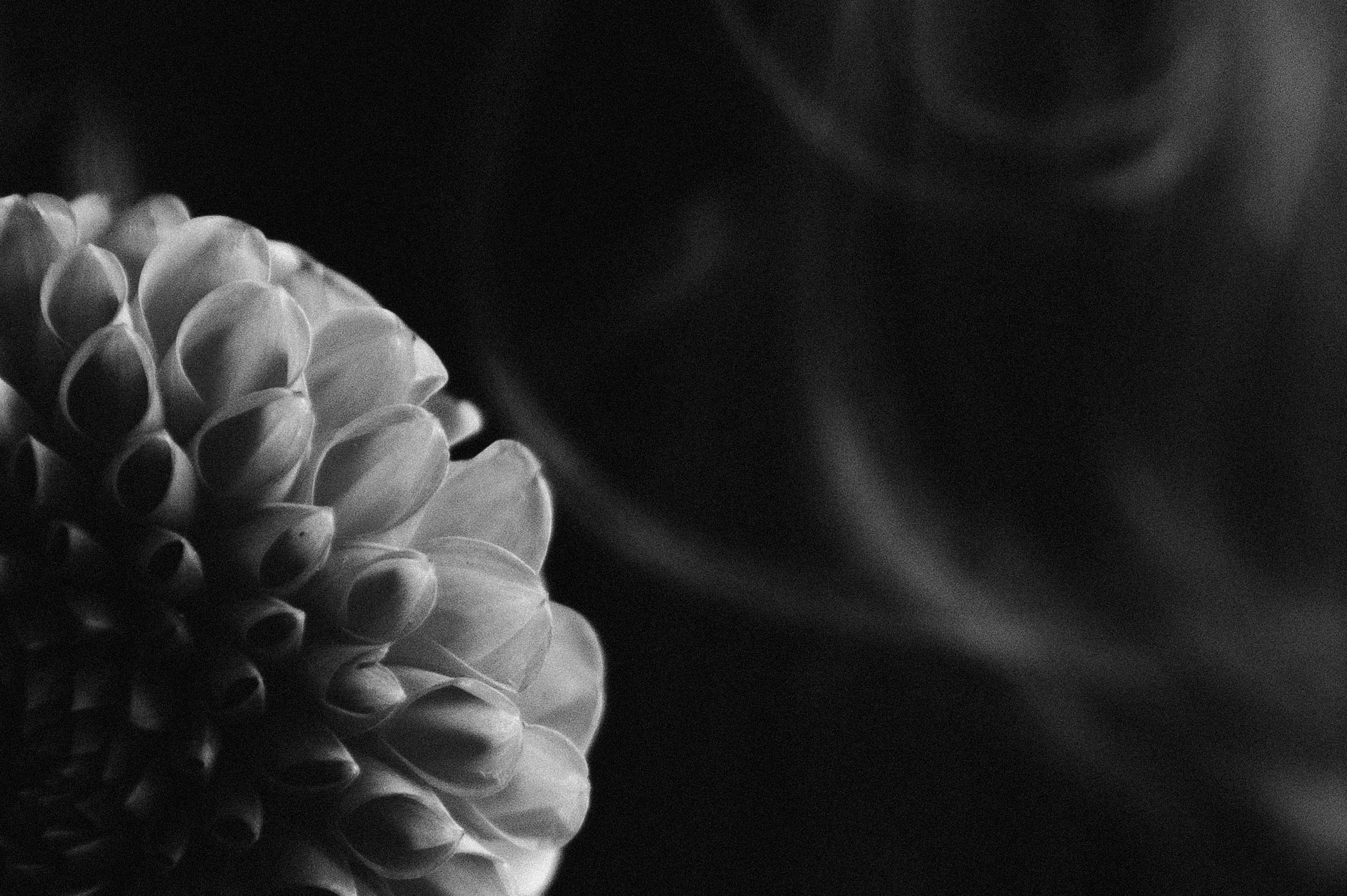 Анастасия. Свадебный фотограф Максим Яненко в Волгограде