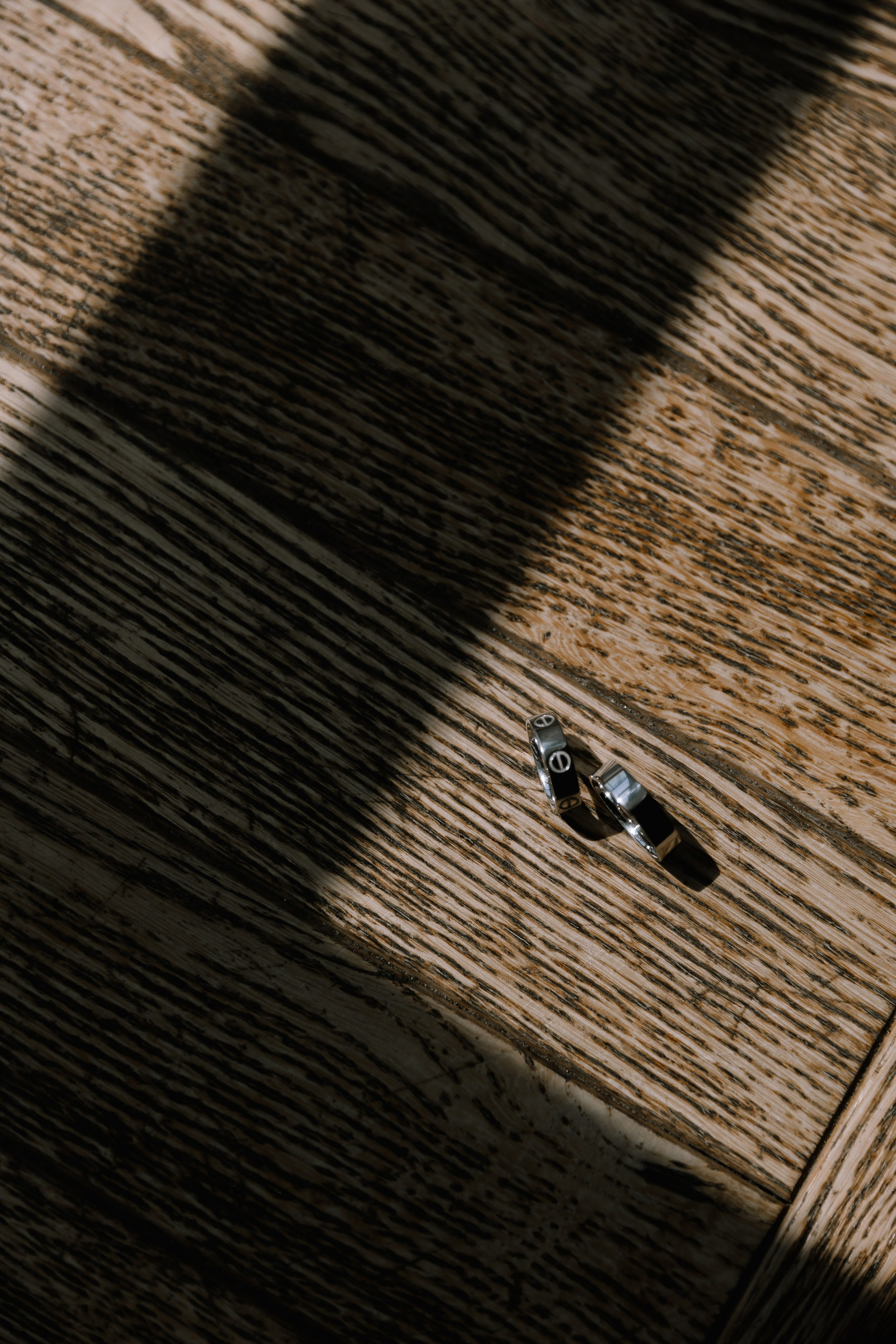 Бабочки. Фотограф Елена Краснопевцева