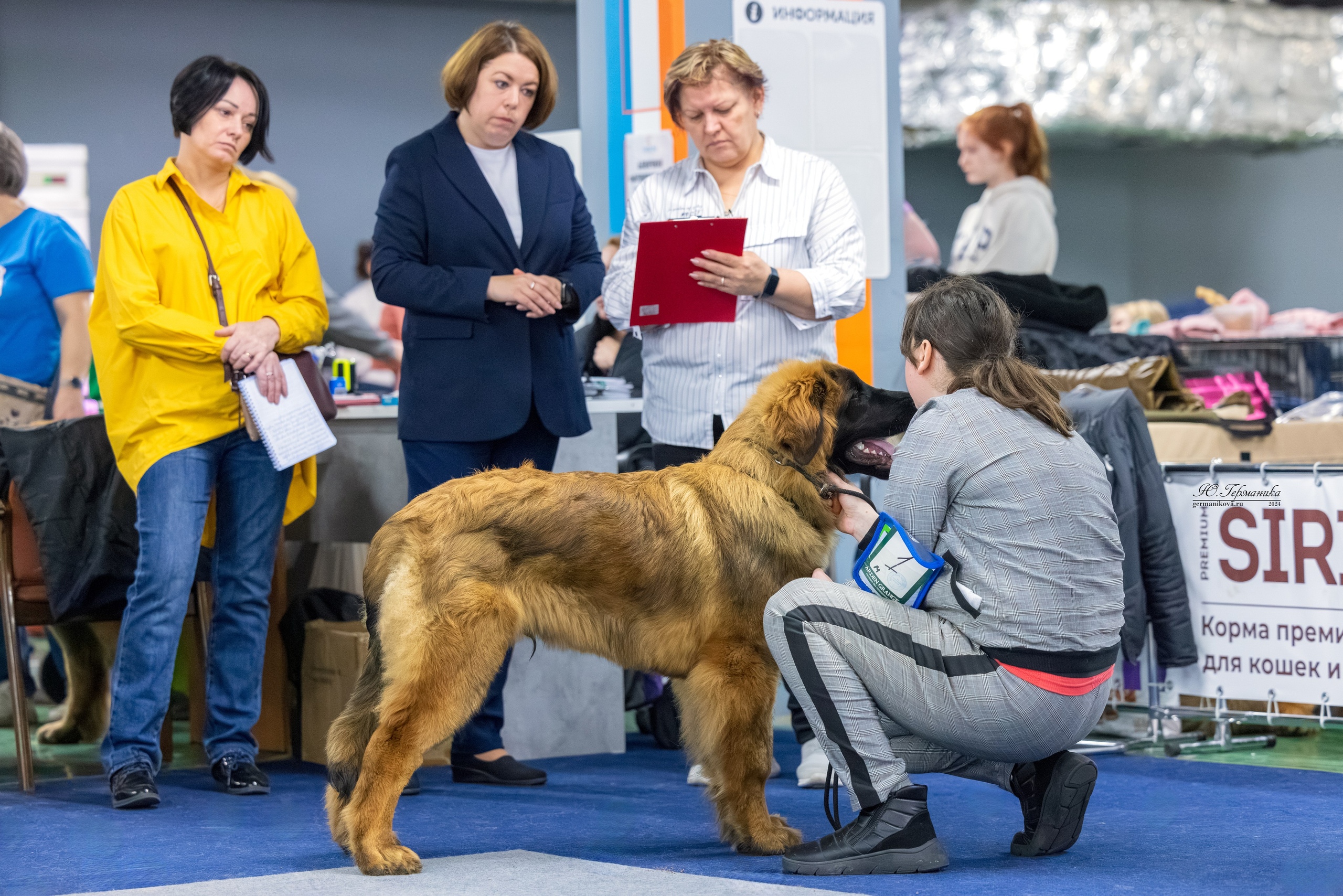Сфера 17.03.2024. Фотограф-анималист Юлия Германика