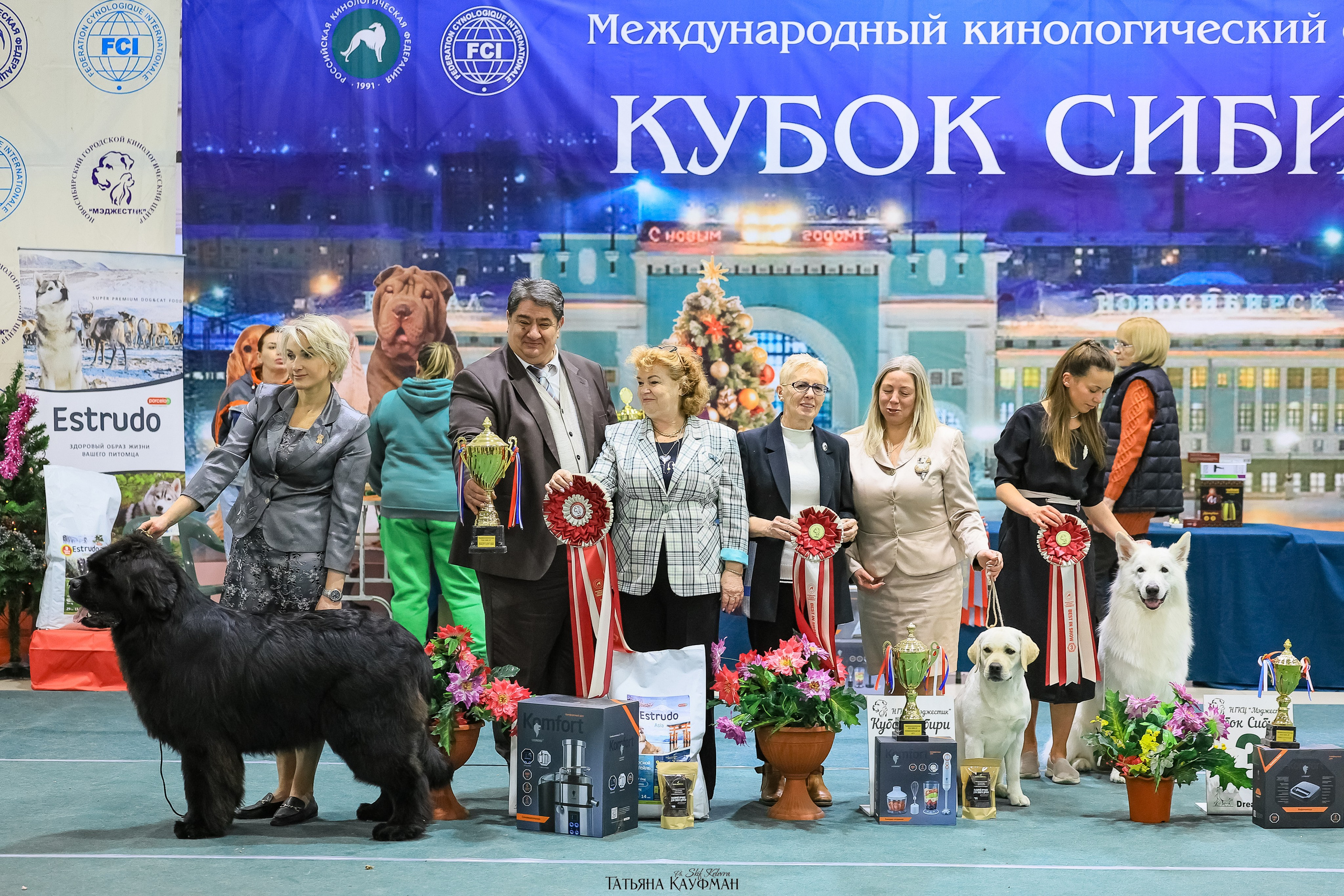 6-7.12.25 — 1-4 Национальные выставки собак в Новосибирске (2х рейтинговые). Фотограф Анималист из Новосибирска Татьяна Кауфман