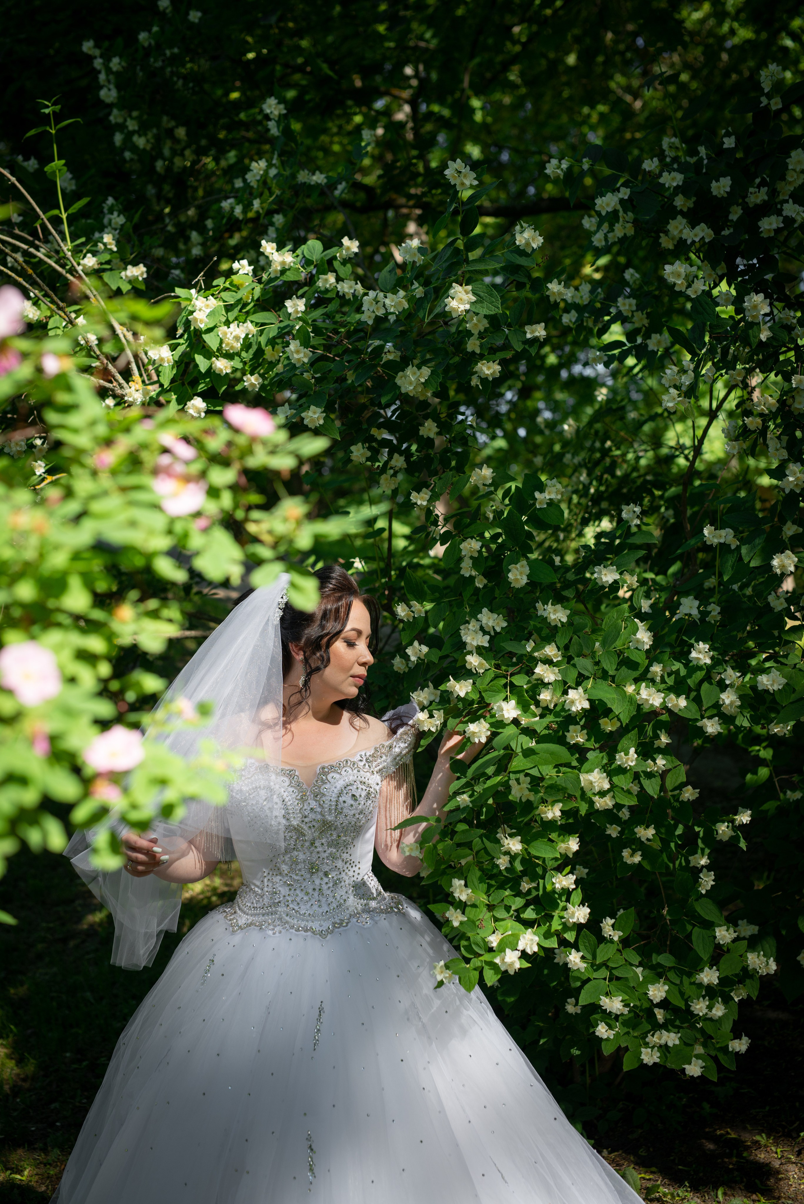 Фотосессия в Пушкине в Александровском, Екатерининском парке и Летнем саду. Портретный, семейный и свадебный фотограф в Санкт-Петербурге и в Пушкине Ширяев Денис