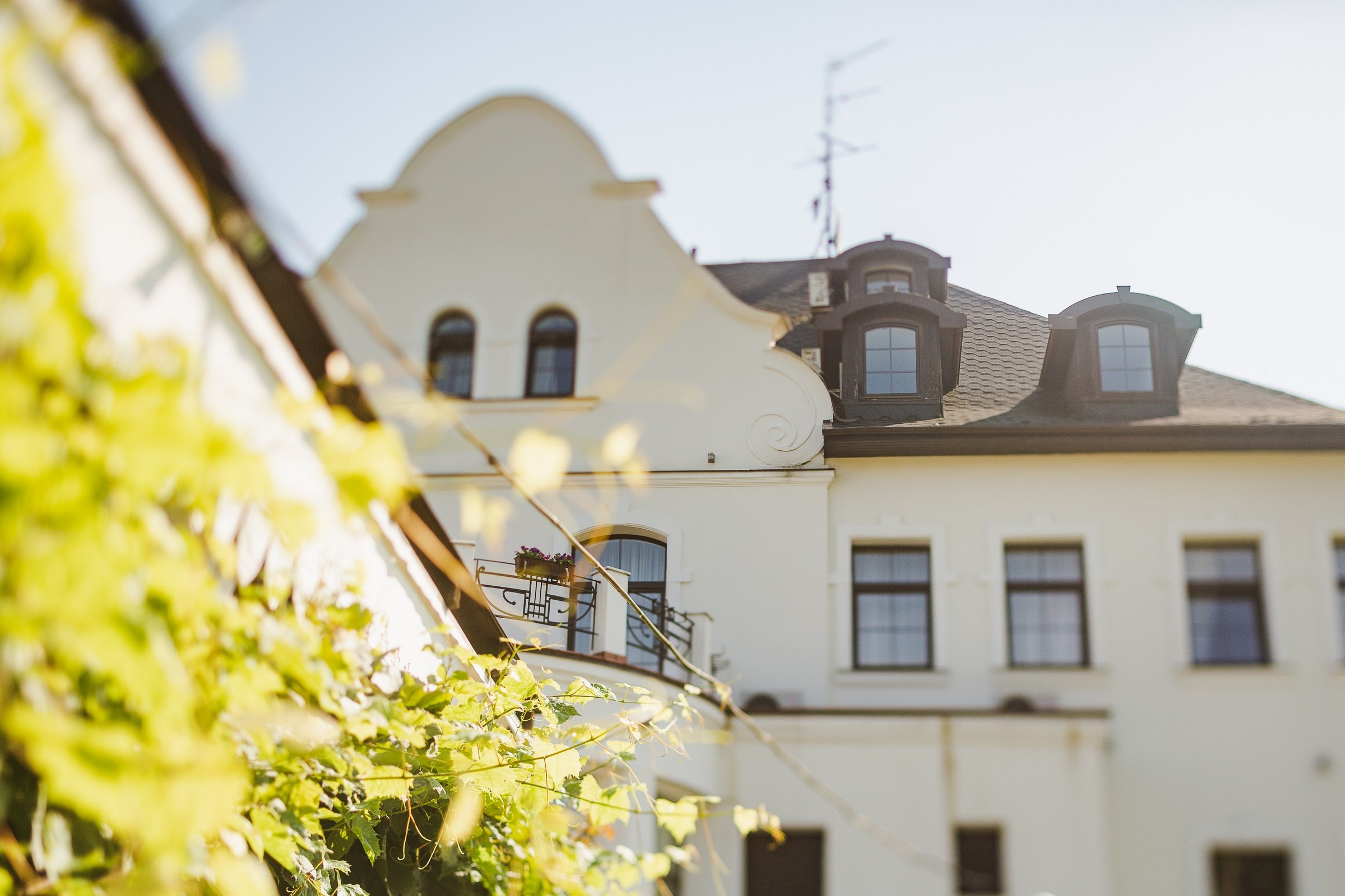 Саша и Юля. Свадебный и семейный фотограф в Калининграде Грибачев Владимир