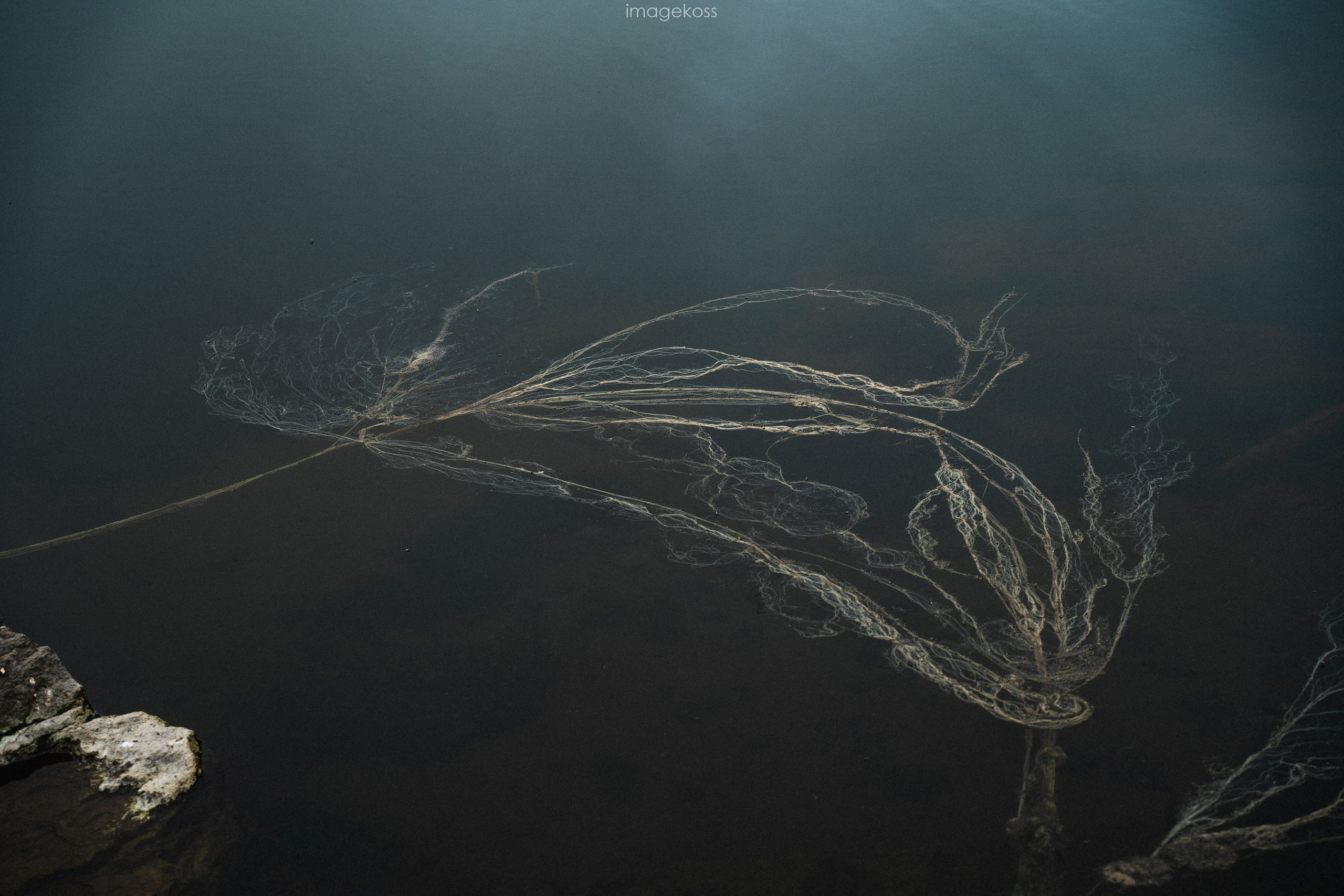 Камчатка. Фотограф в поход и восхождение на Эльбрус Игорь Косарев