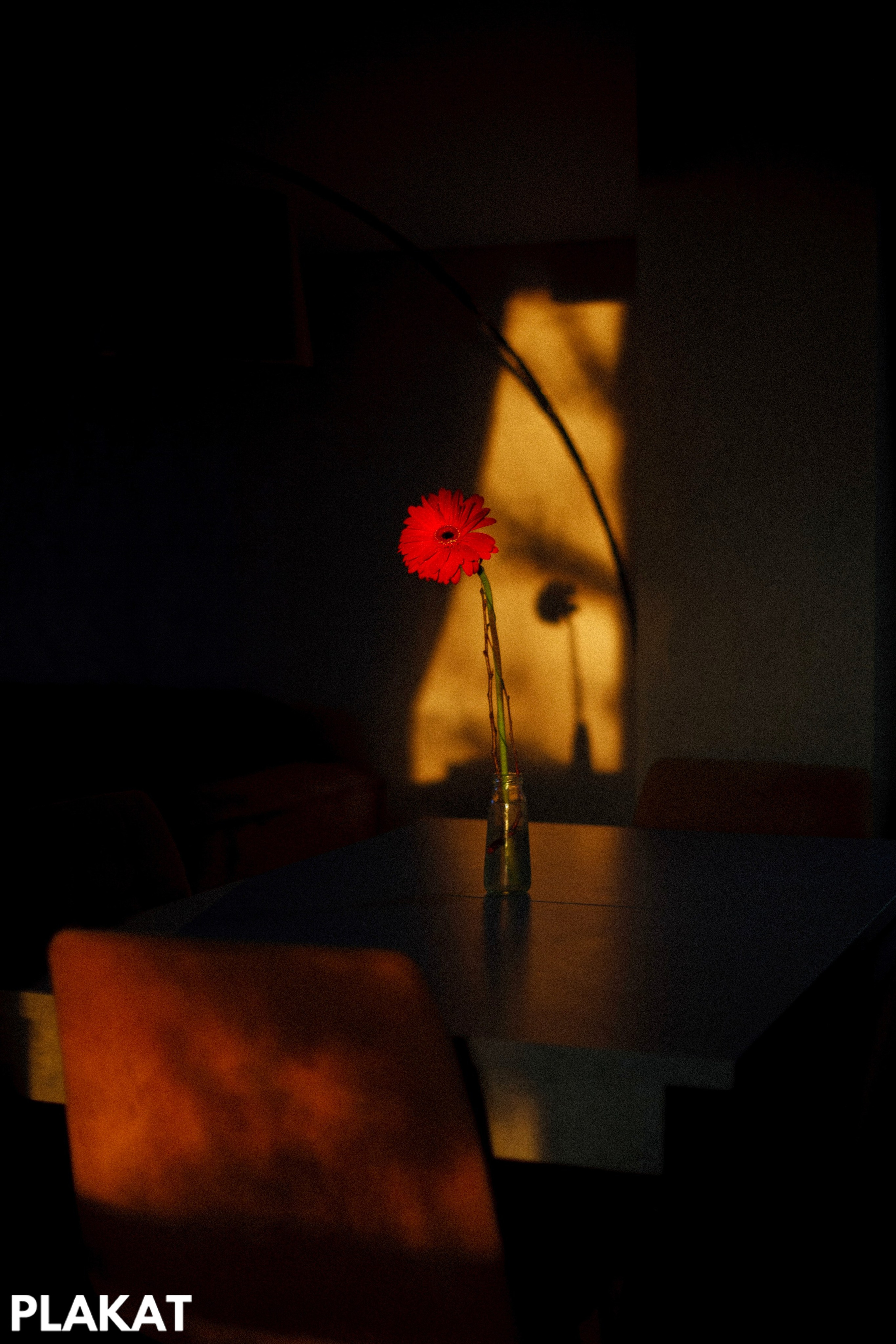 @by_yuriymatros