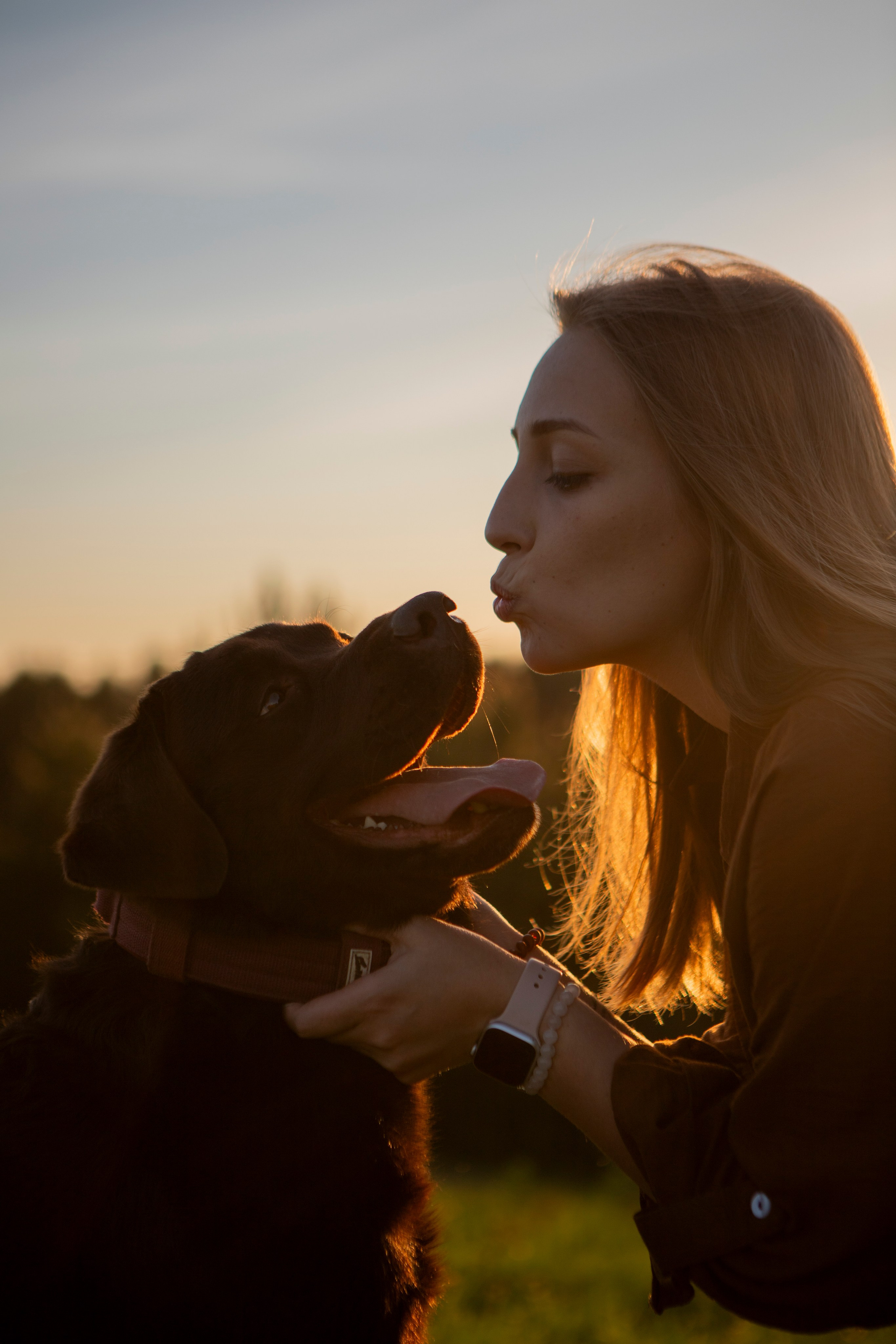 Закатная. Фотограф-анималист в Санкт-Петербурге Алина Яхонт