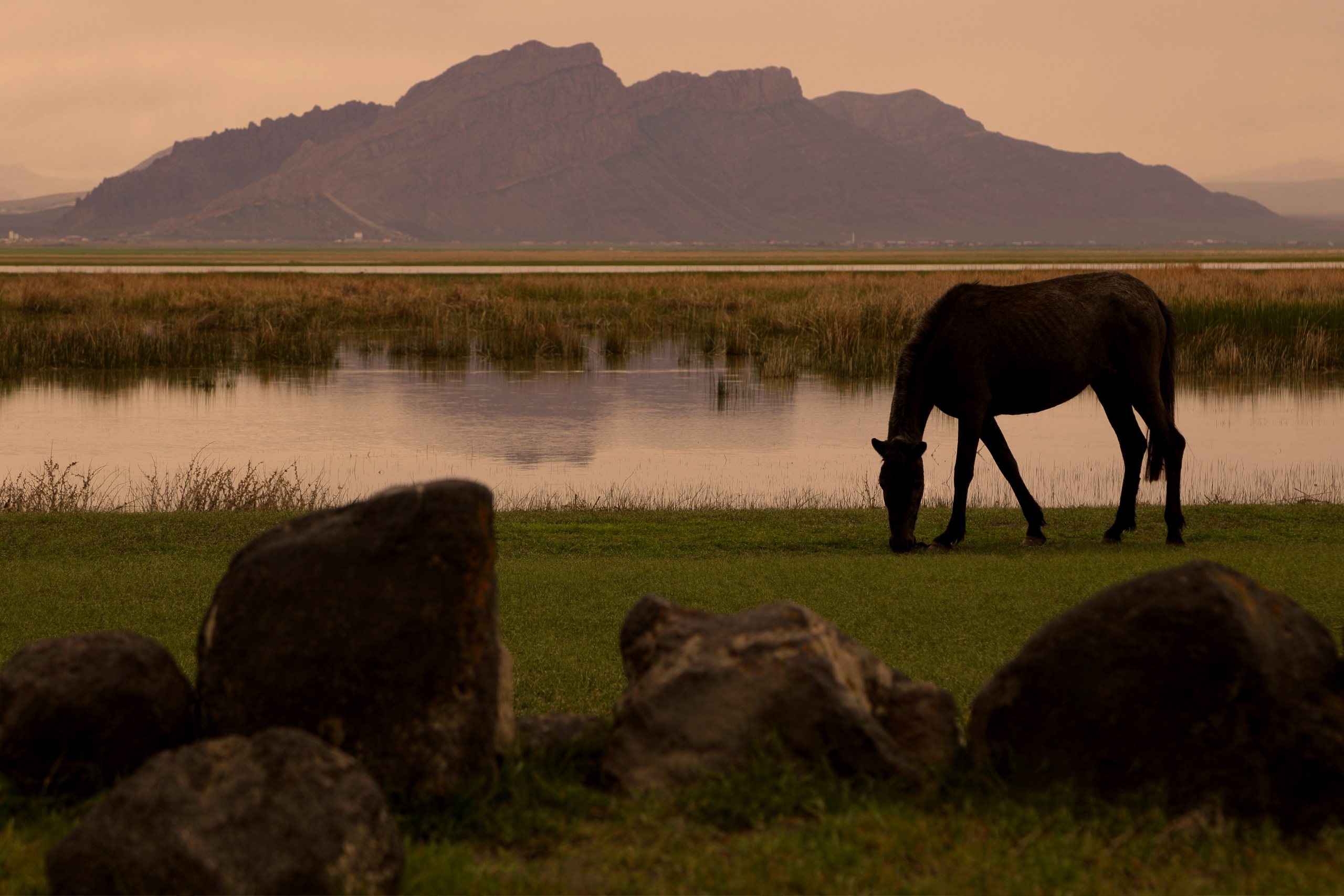 Фото. Фотограф Лагутин Анатолий