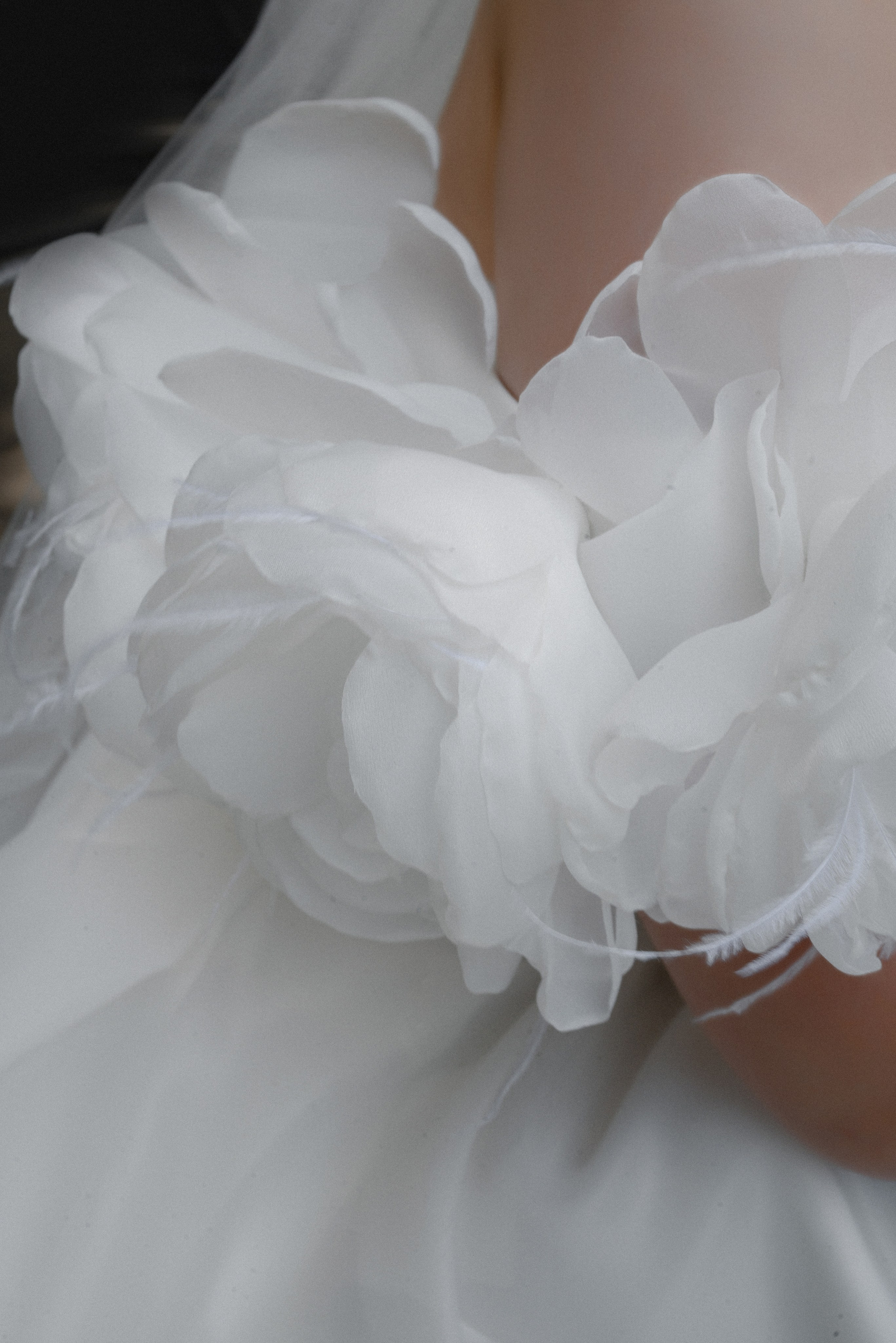 Влад и Алена. Фотограф Анна Абрикосова