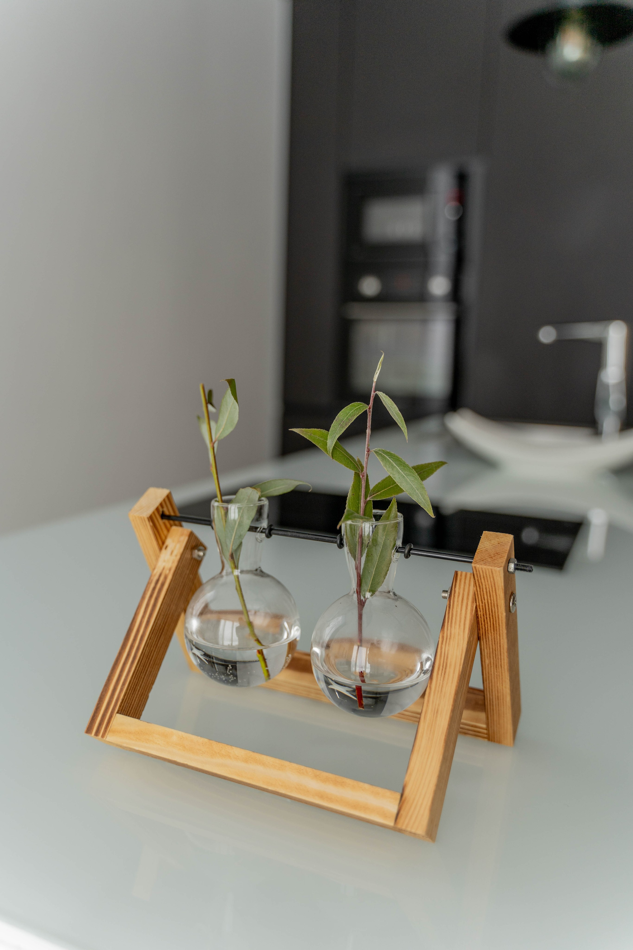 ICON Kopaonik. Photographer Liana Sudets Serbia Kopaonik Brzece Brus